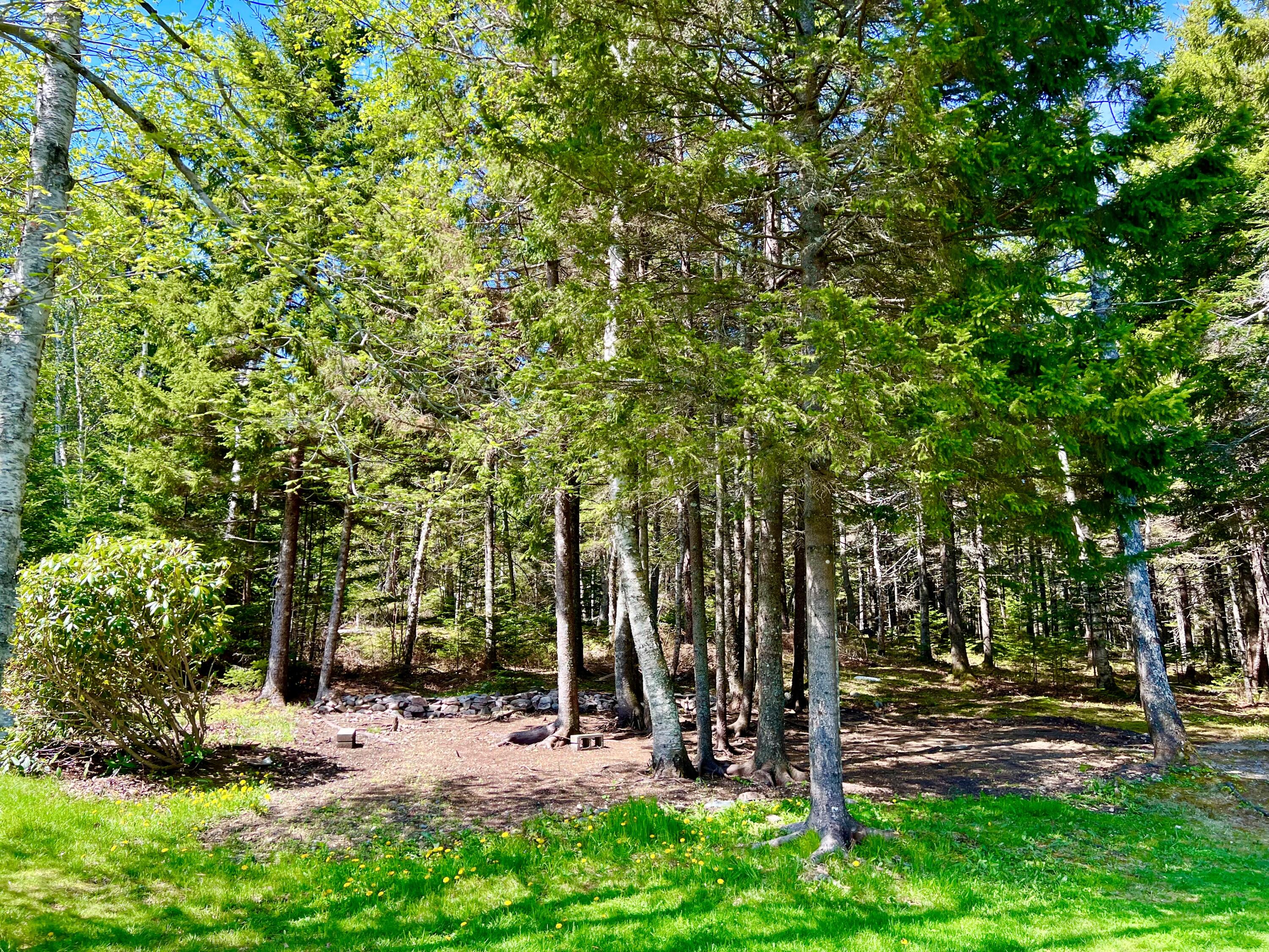 main property photo 82