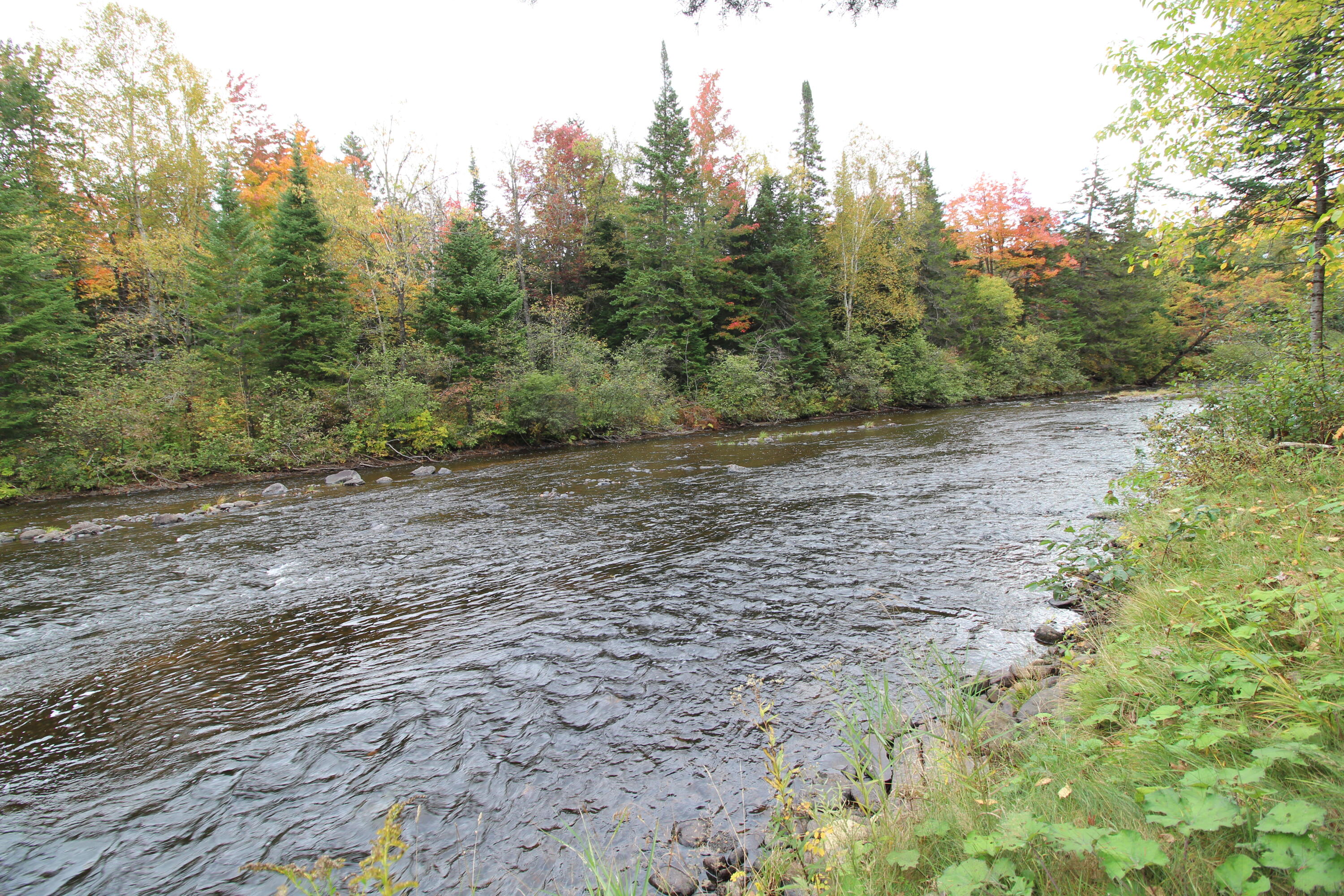 main property photo 49