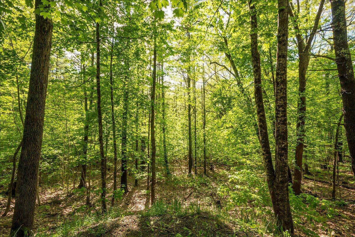 main property photo 65