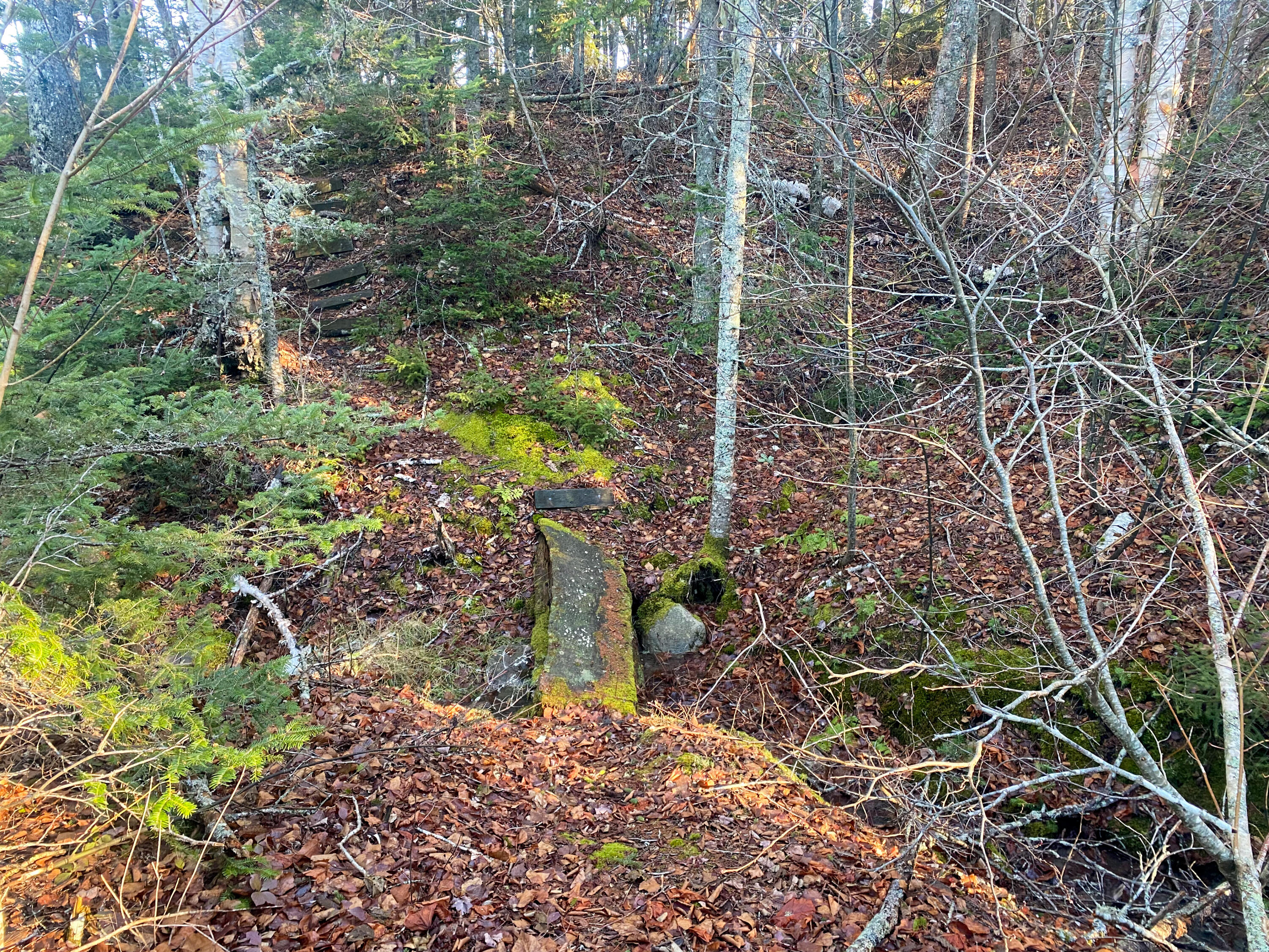 main property photo 16