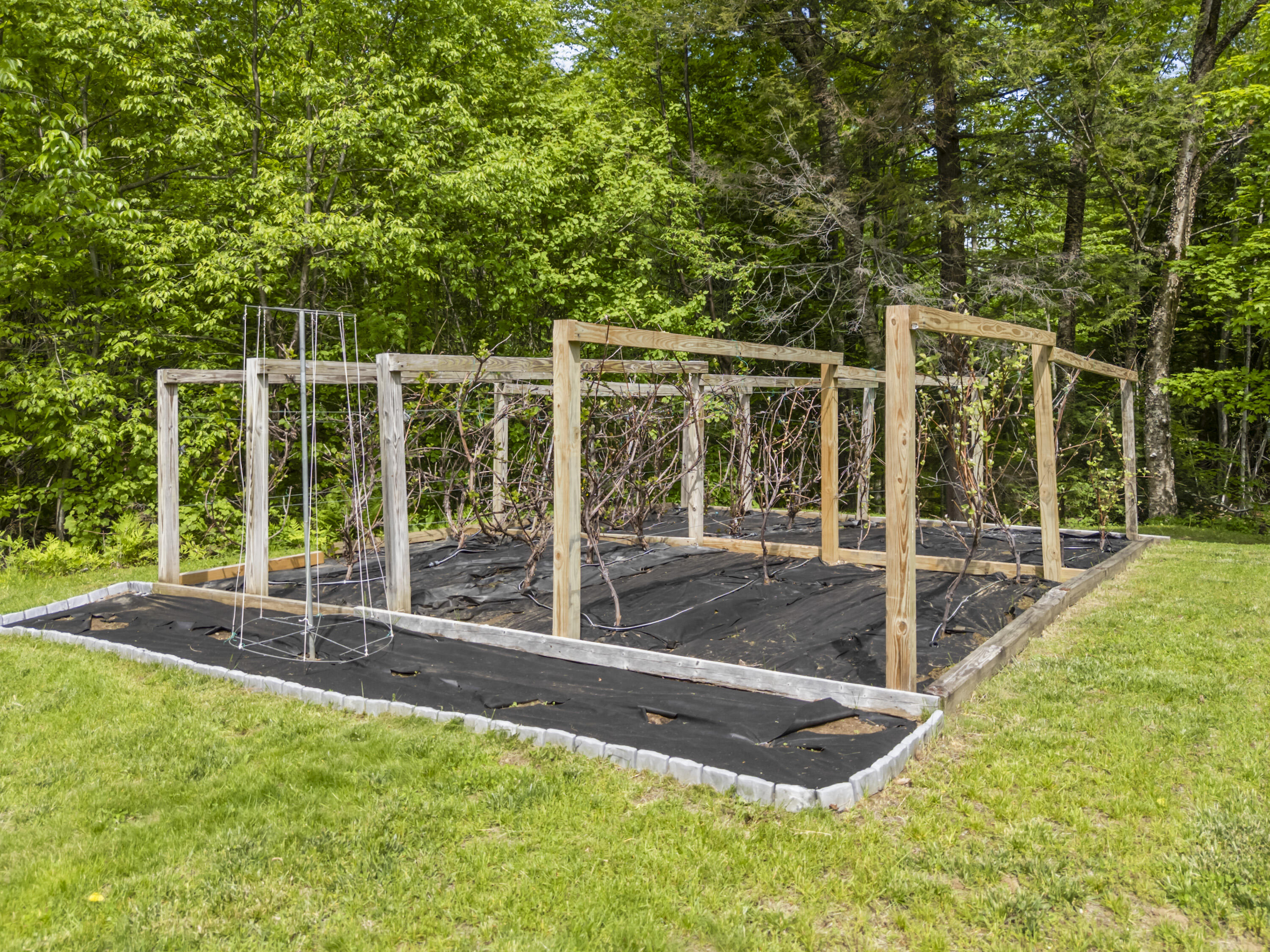 main property photo 48