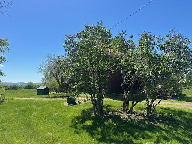 main property photo 56