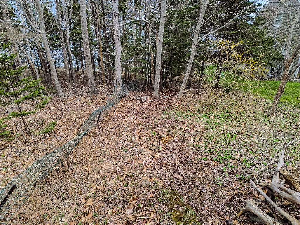 main property photo 49