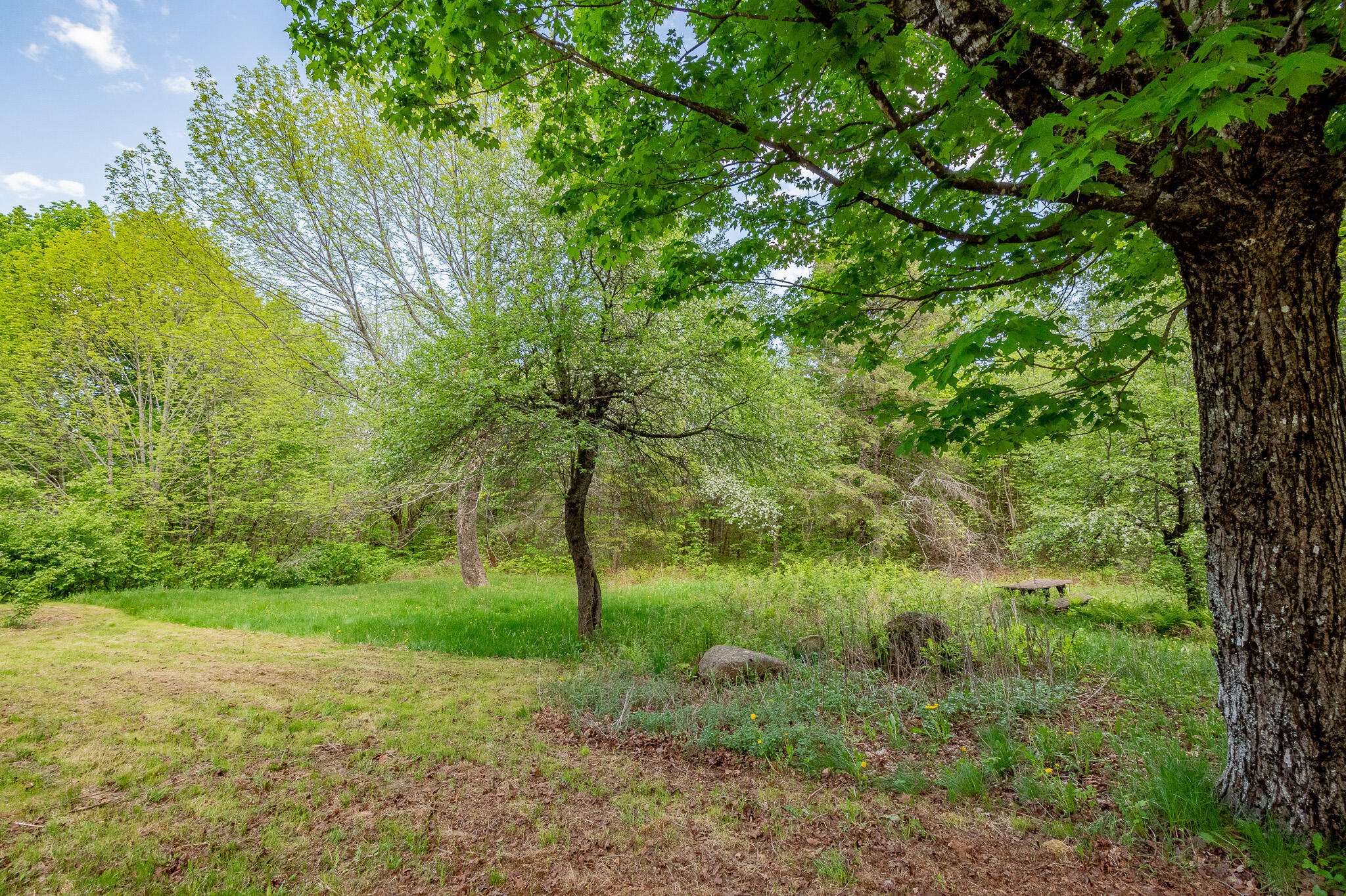main property photo 67