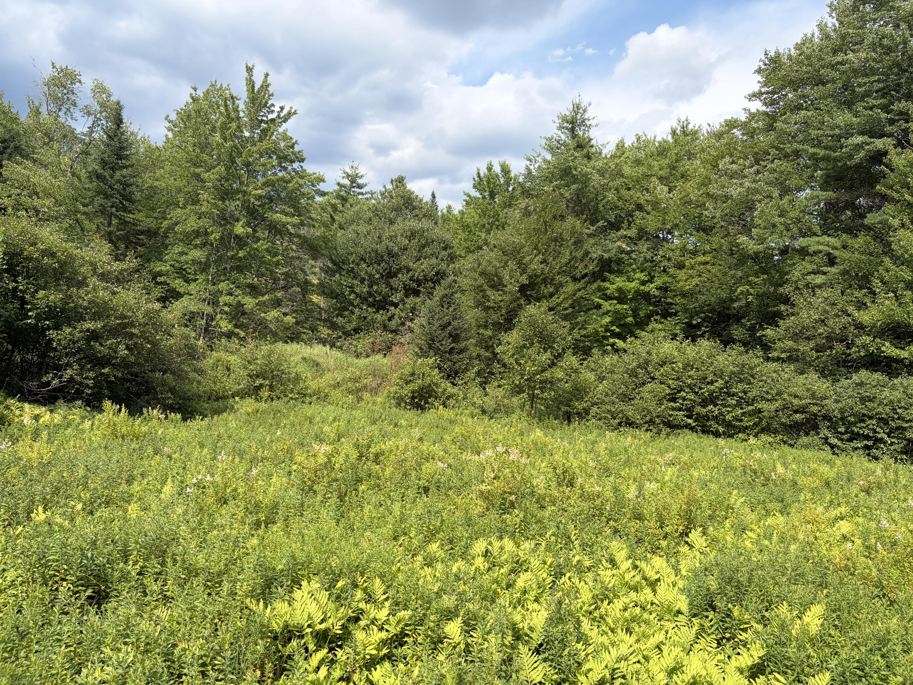 main property photo 47