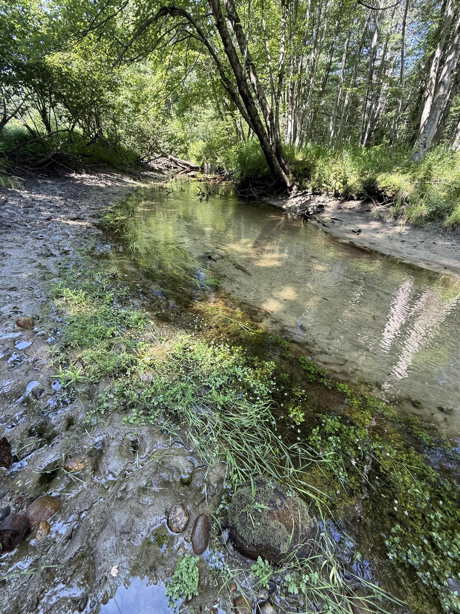 main property photo 51