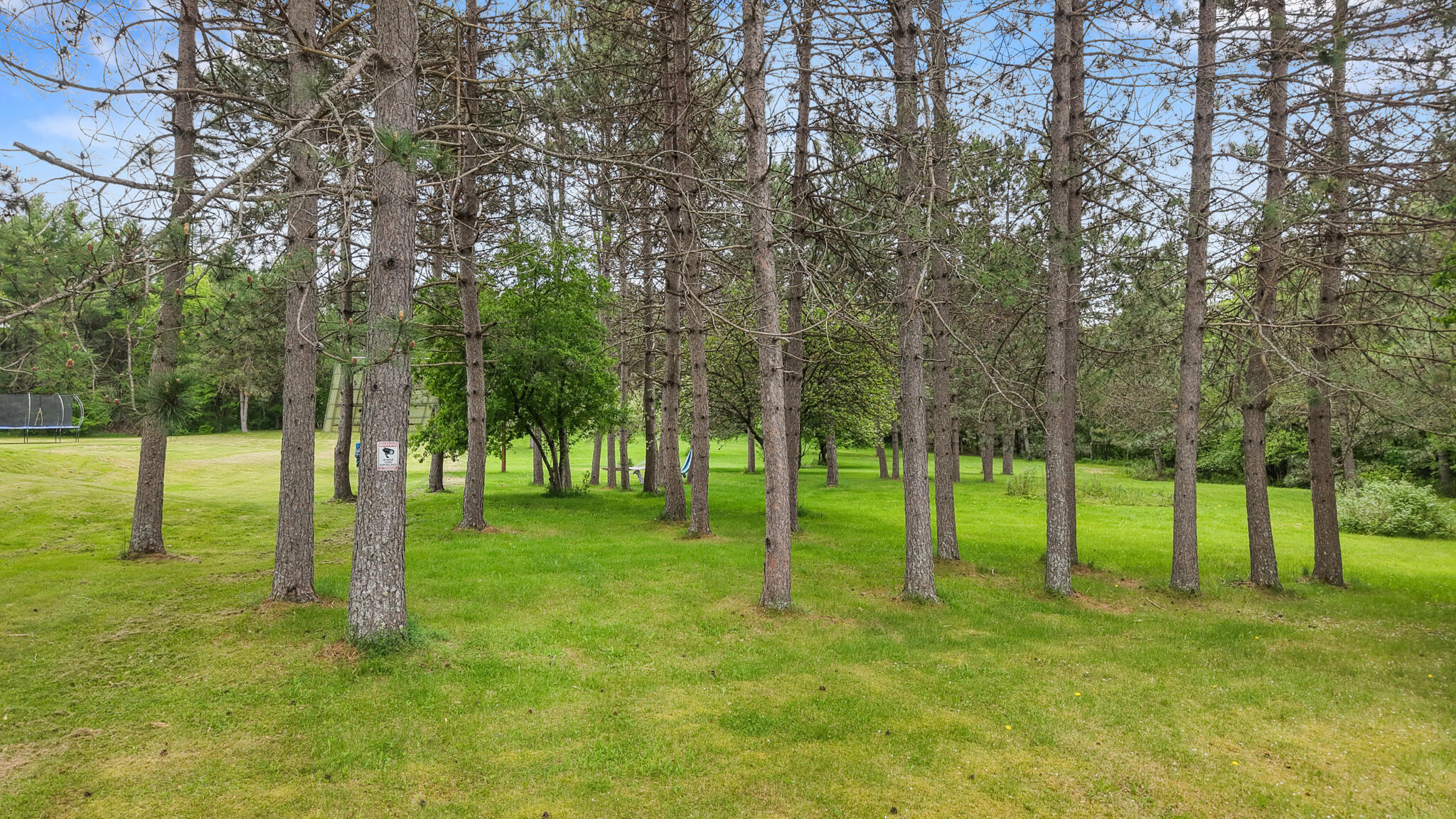 main property photo 61