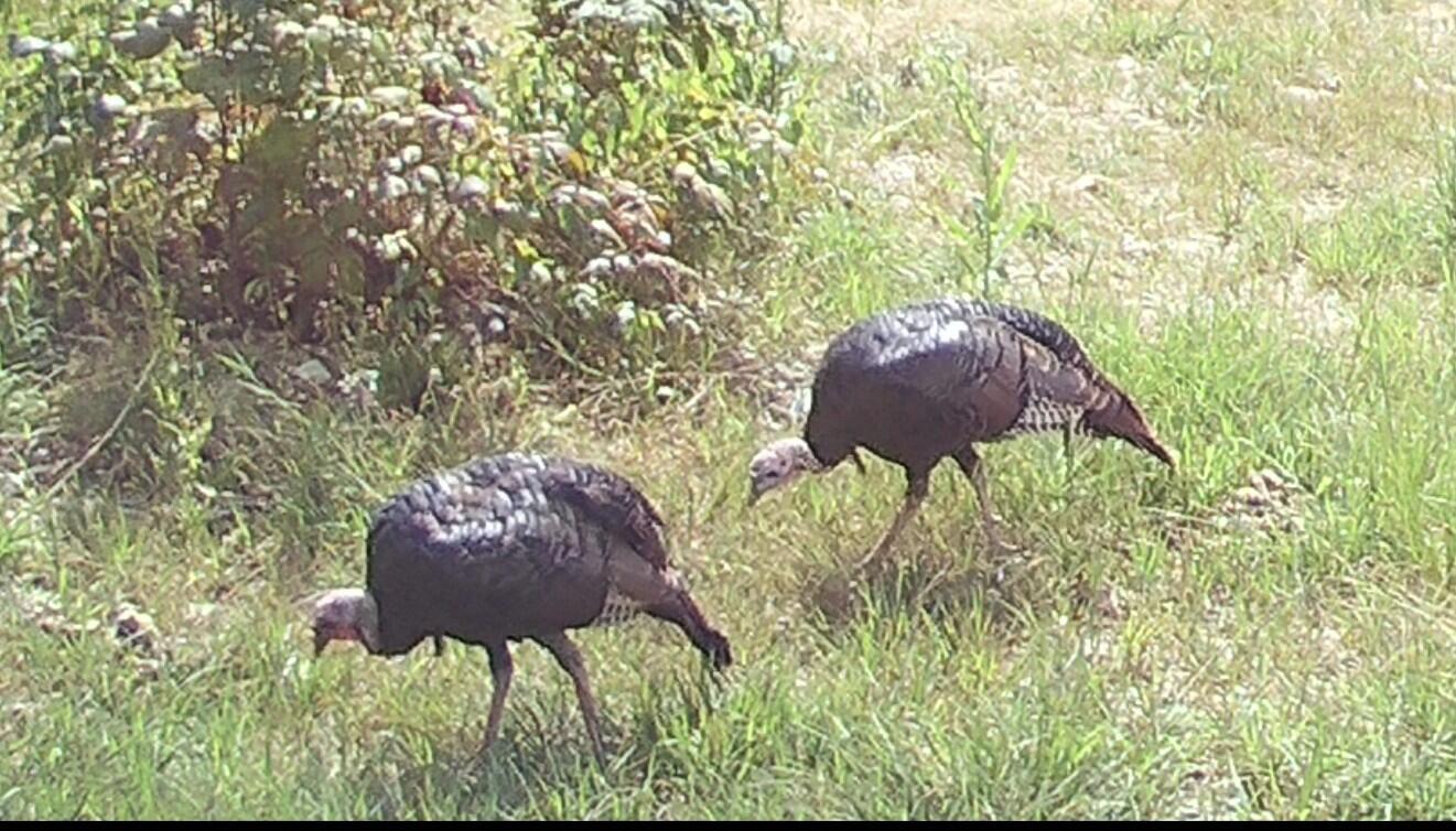 main property photo 32