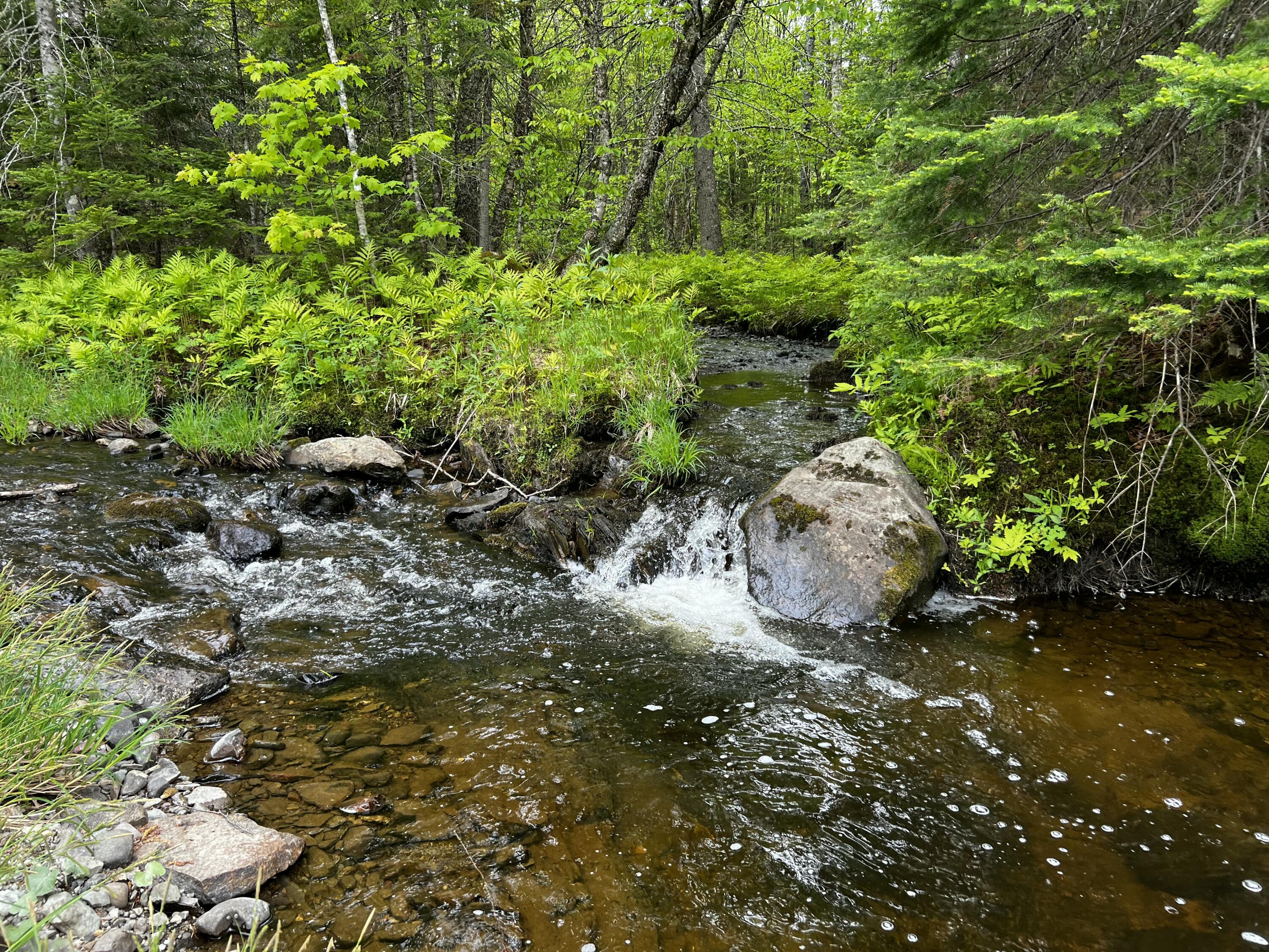 main property photo 21