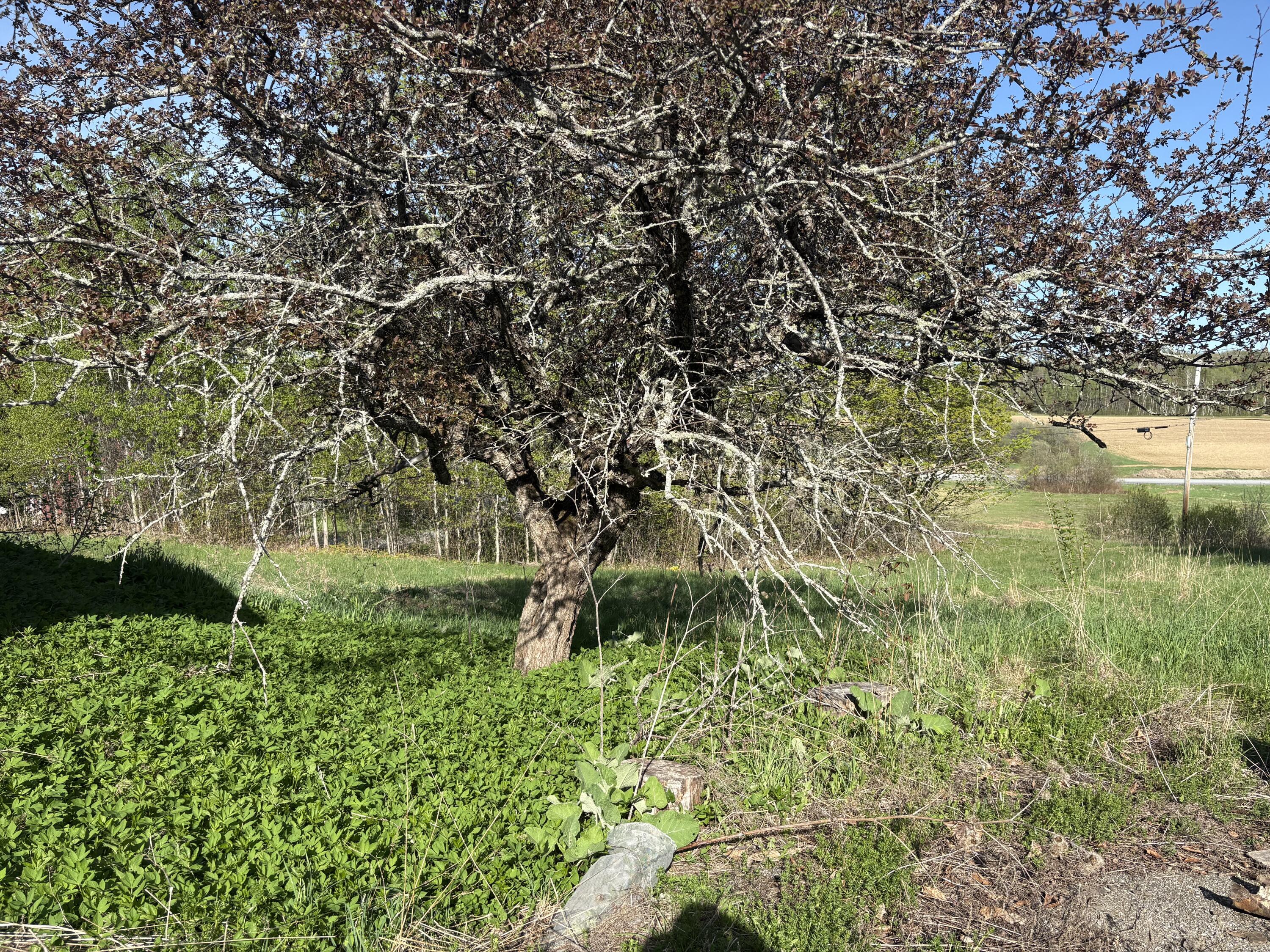 main property photo 10