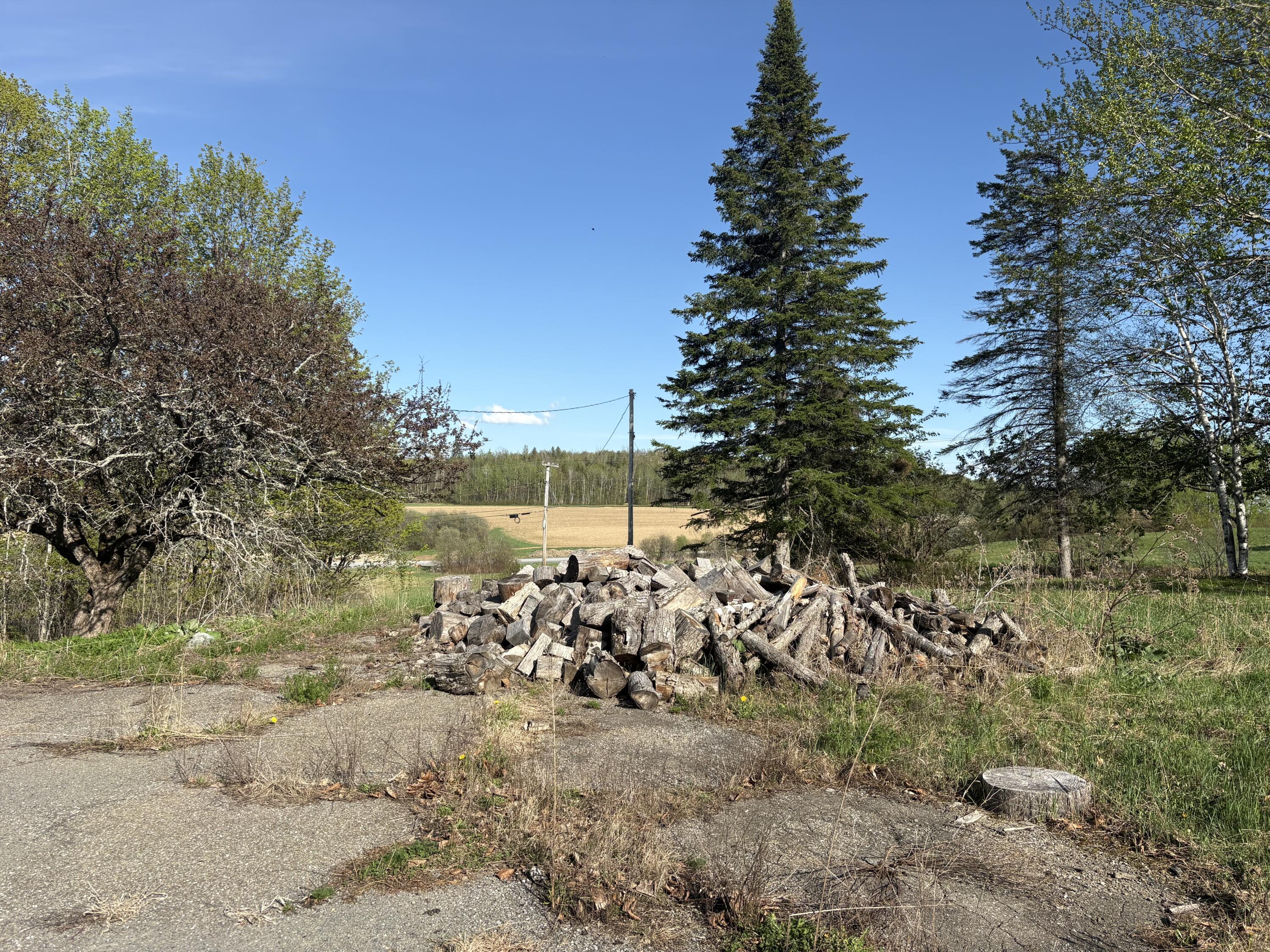 main property photo 11