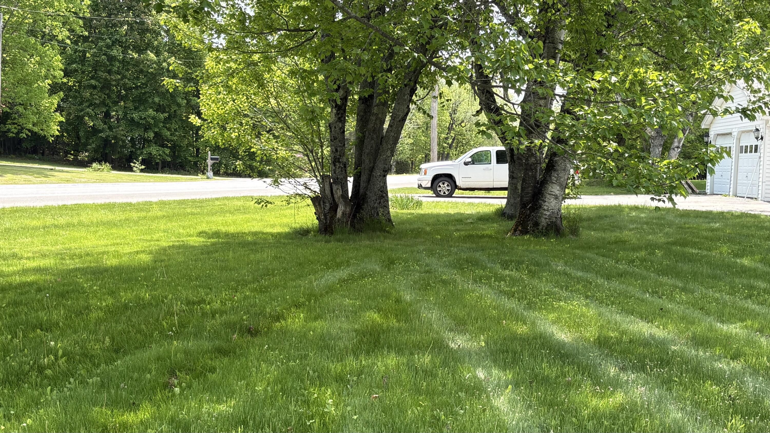 main property photo 31