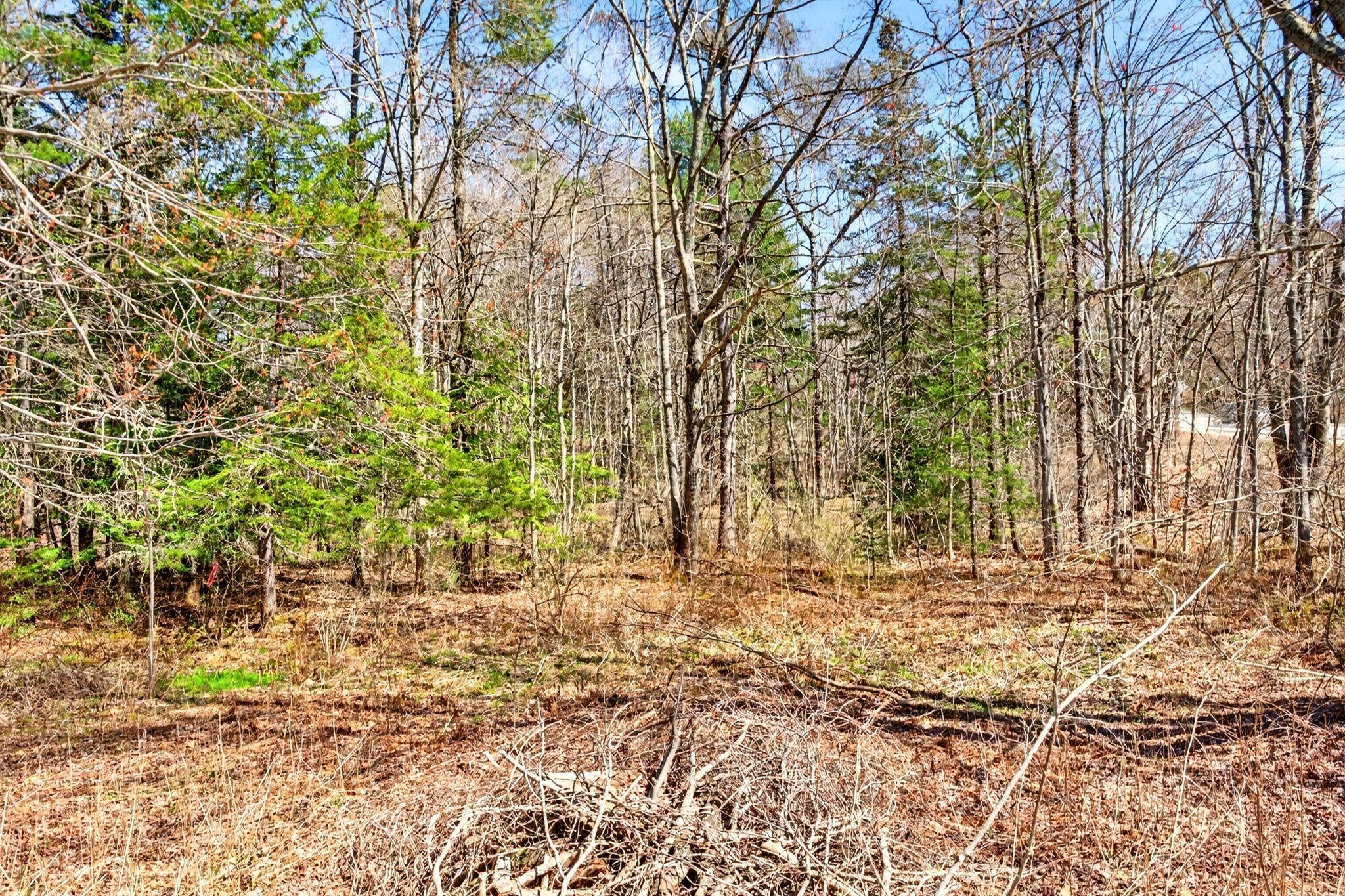 main property photo 12