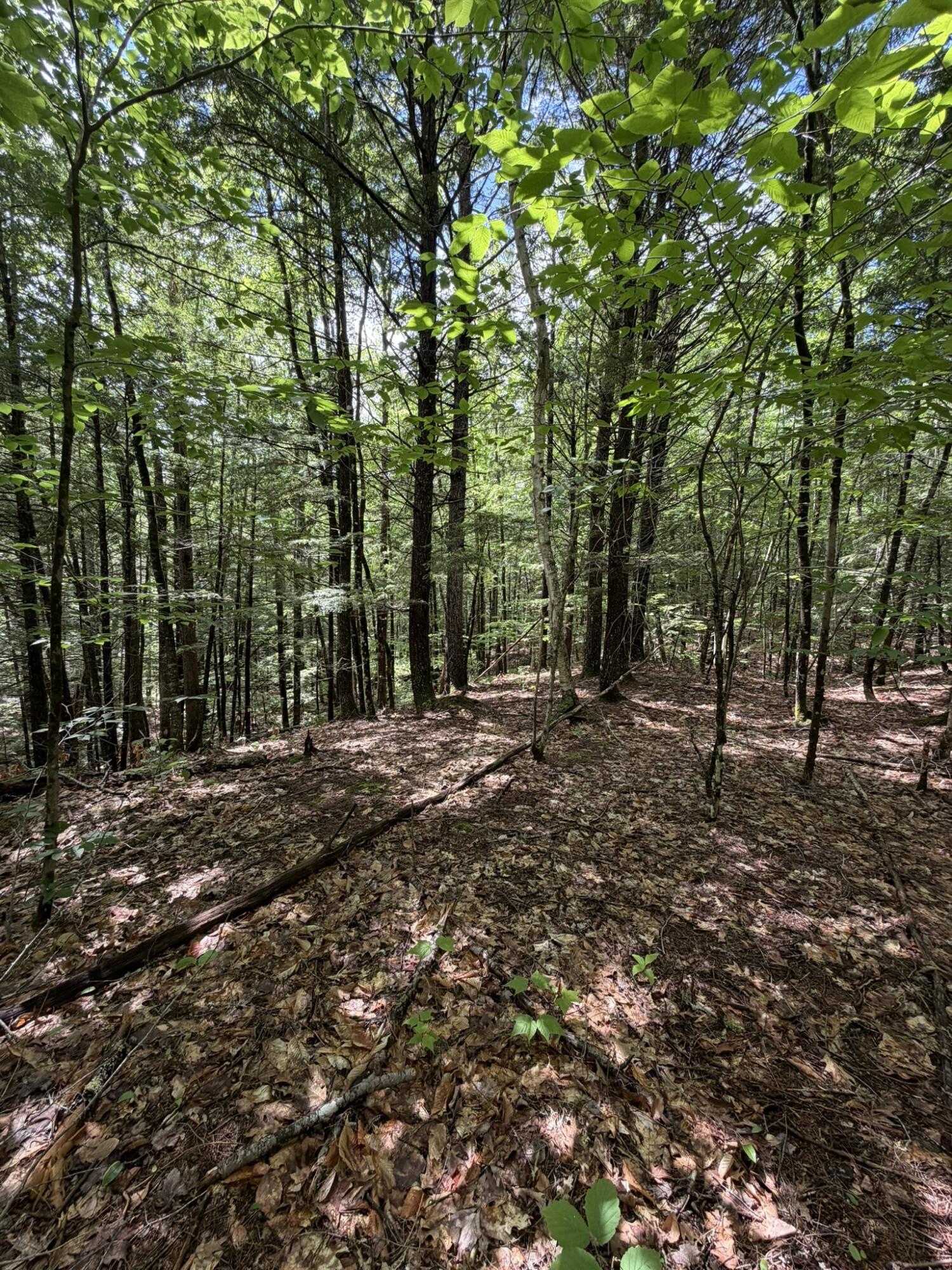 main property photo 10