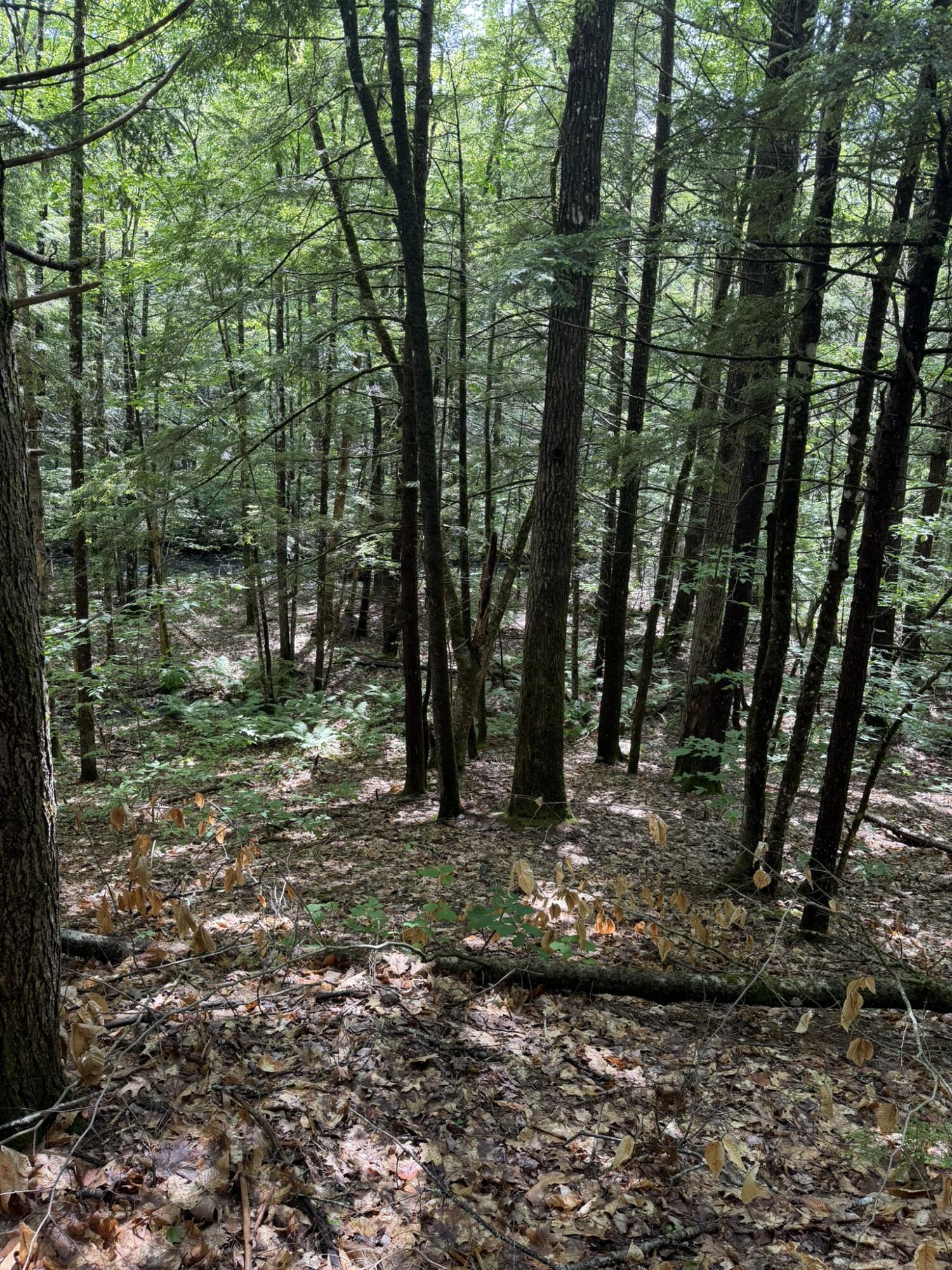main property photo 12