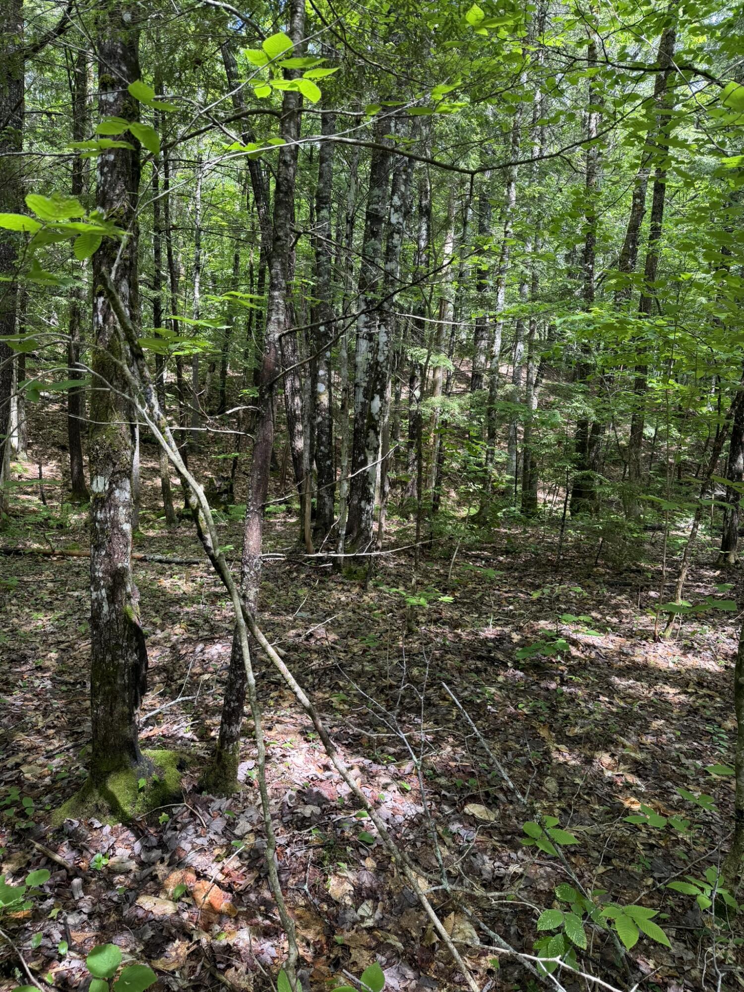 main property photo 17