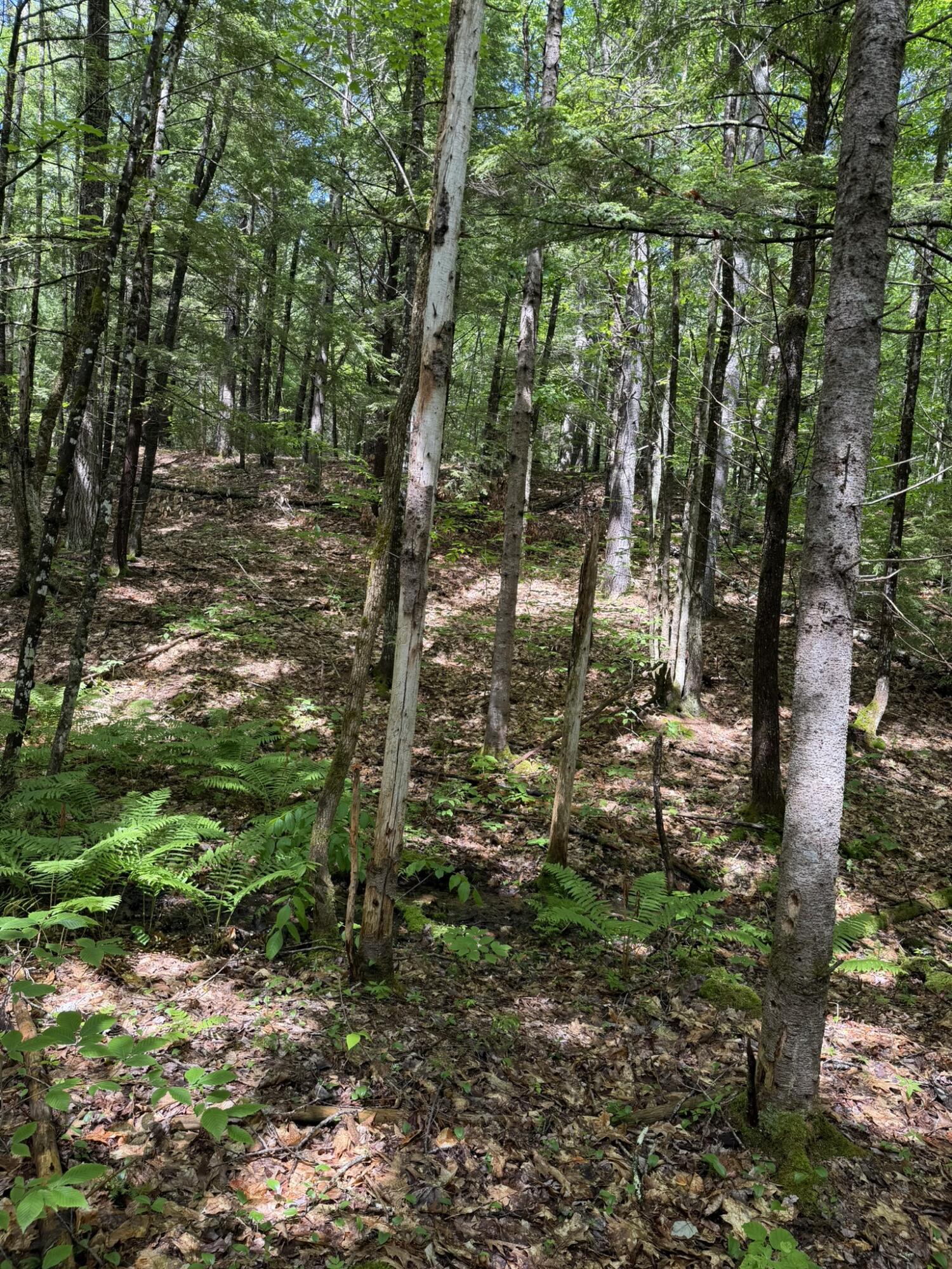 main property photo 20