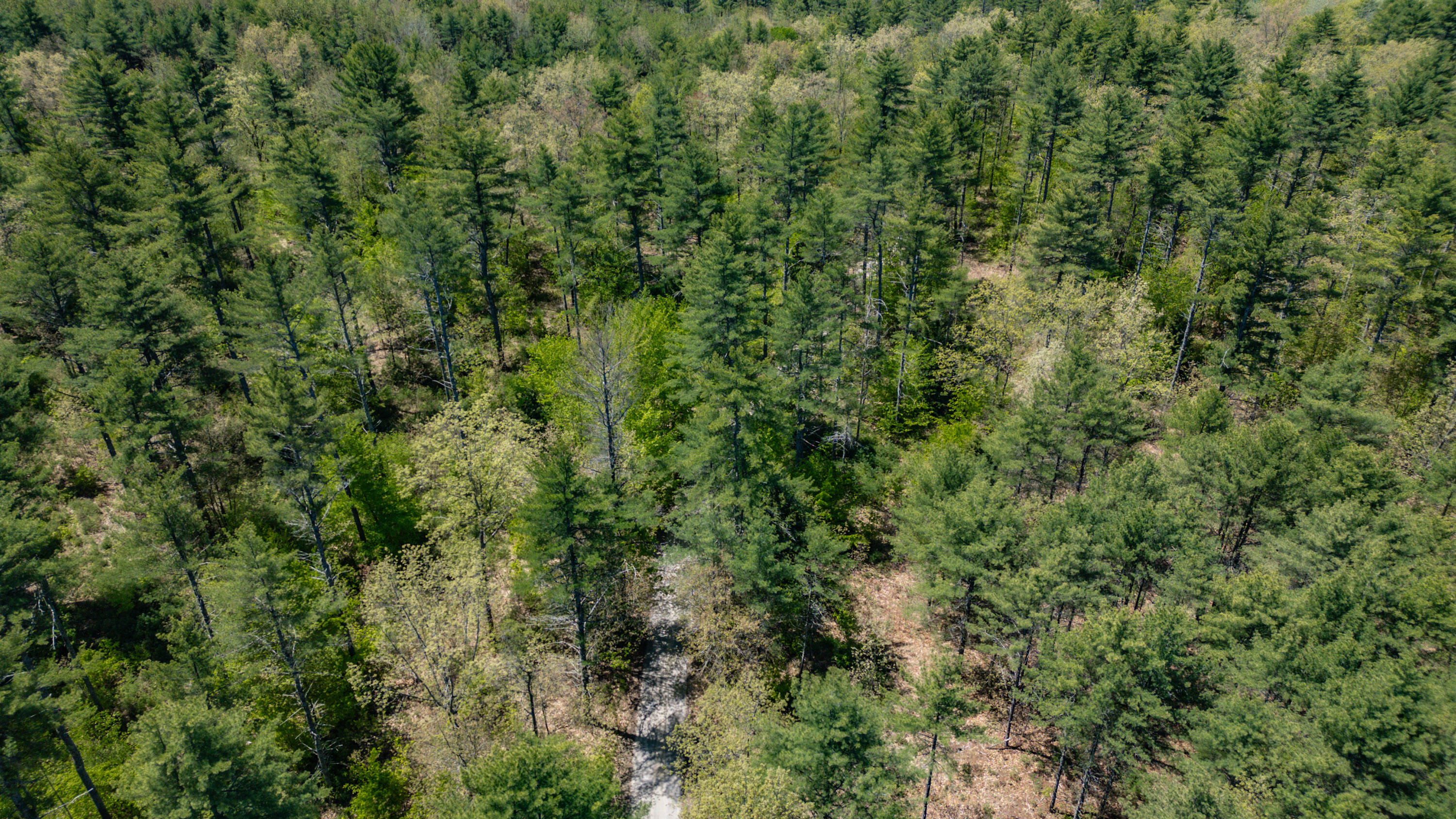 main property photo 79