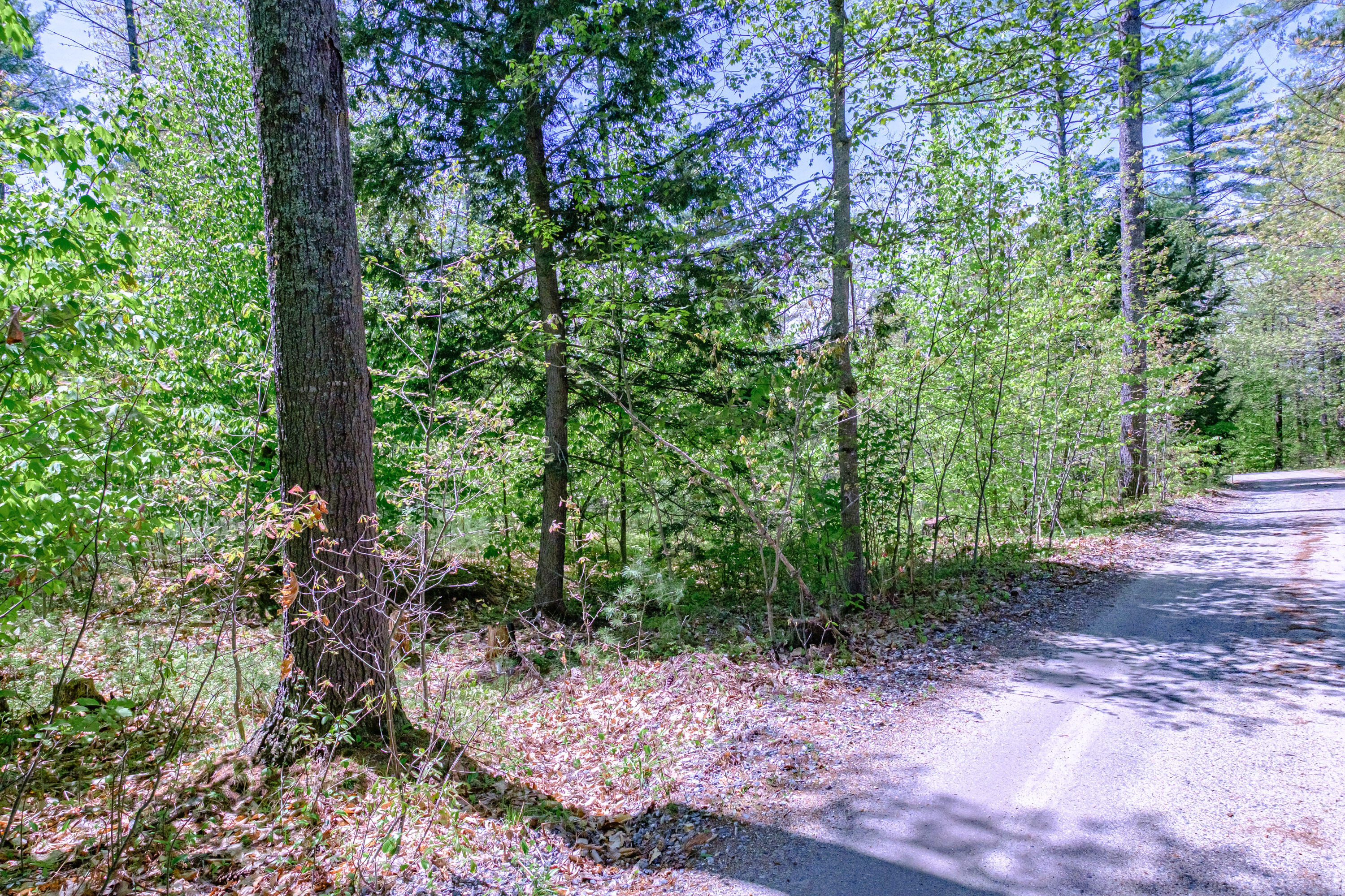 main property photo 92