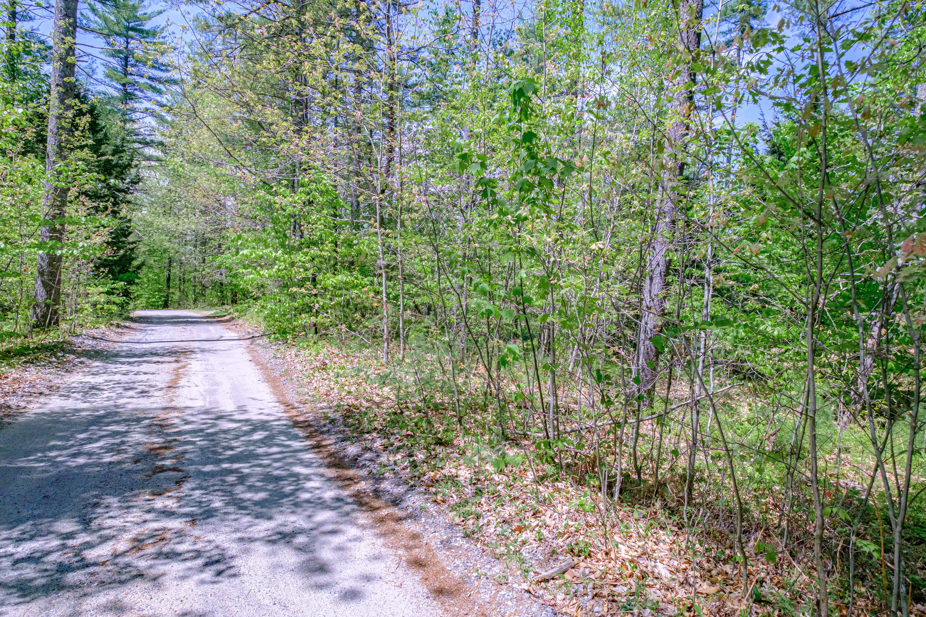 main property photo 93