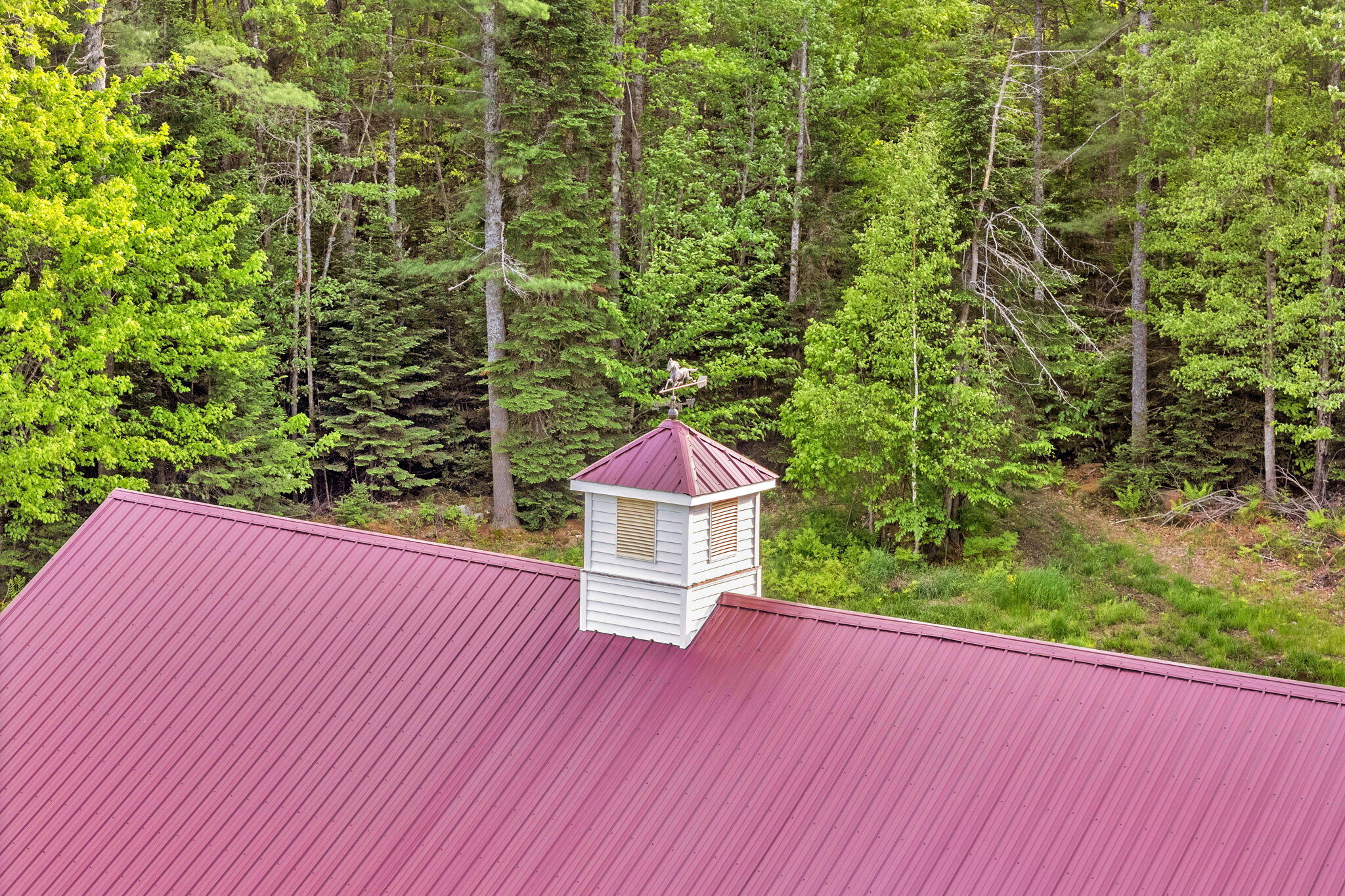 main property photo 101