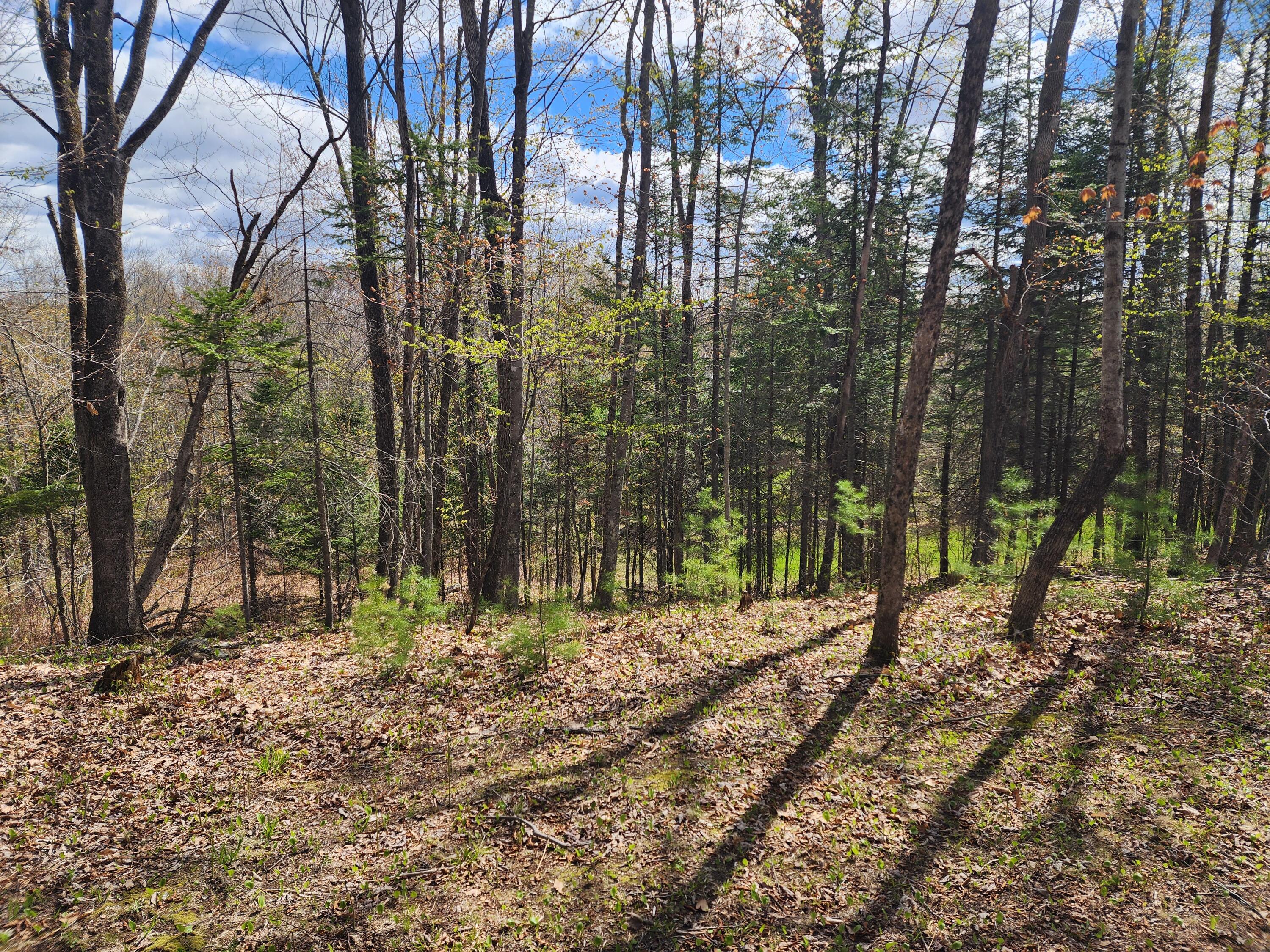 main property photo 58