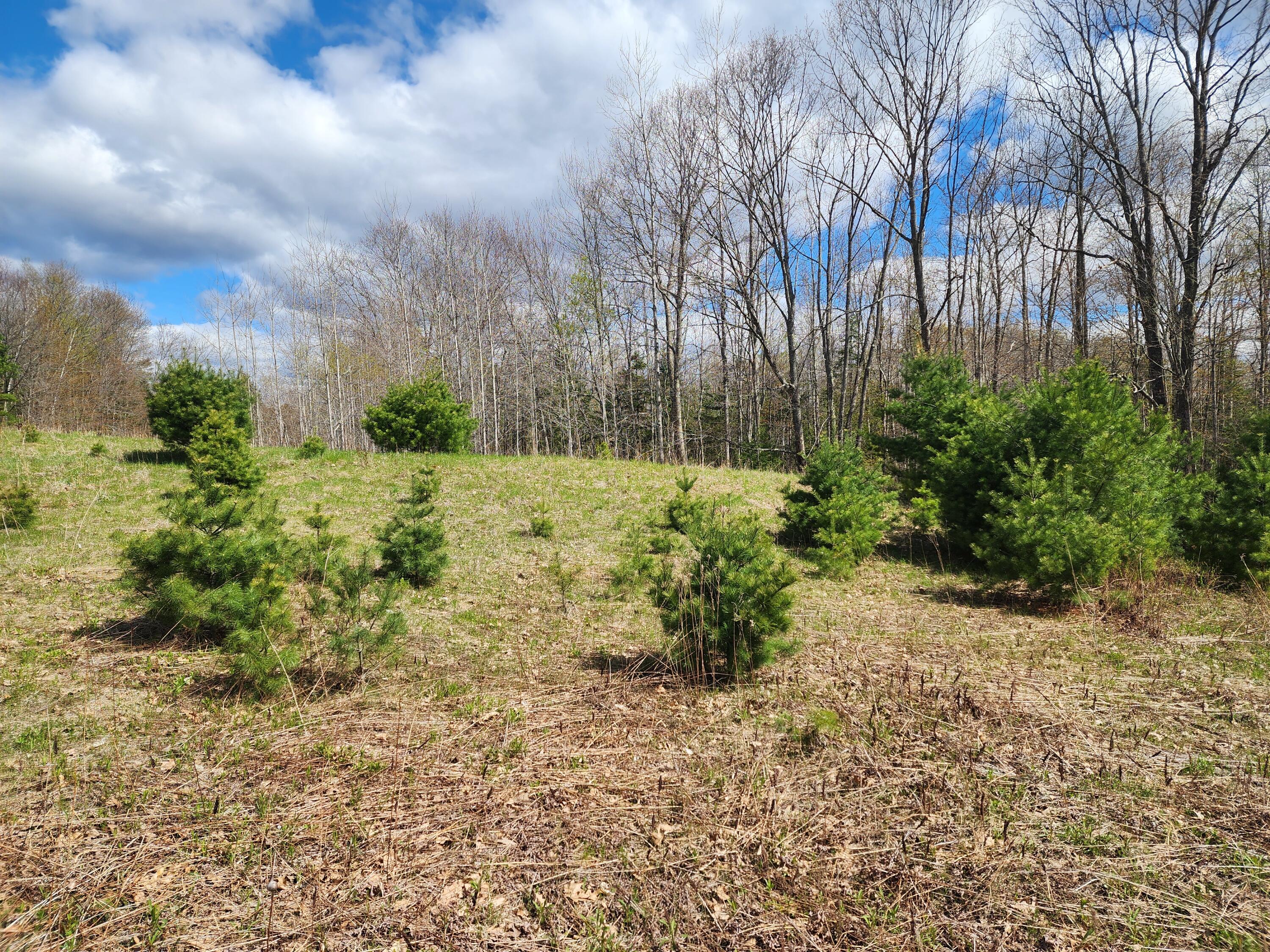 main property photo 61
