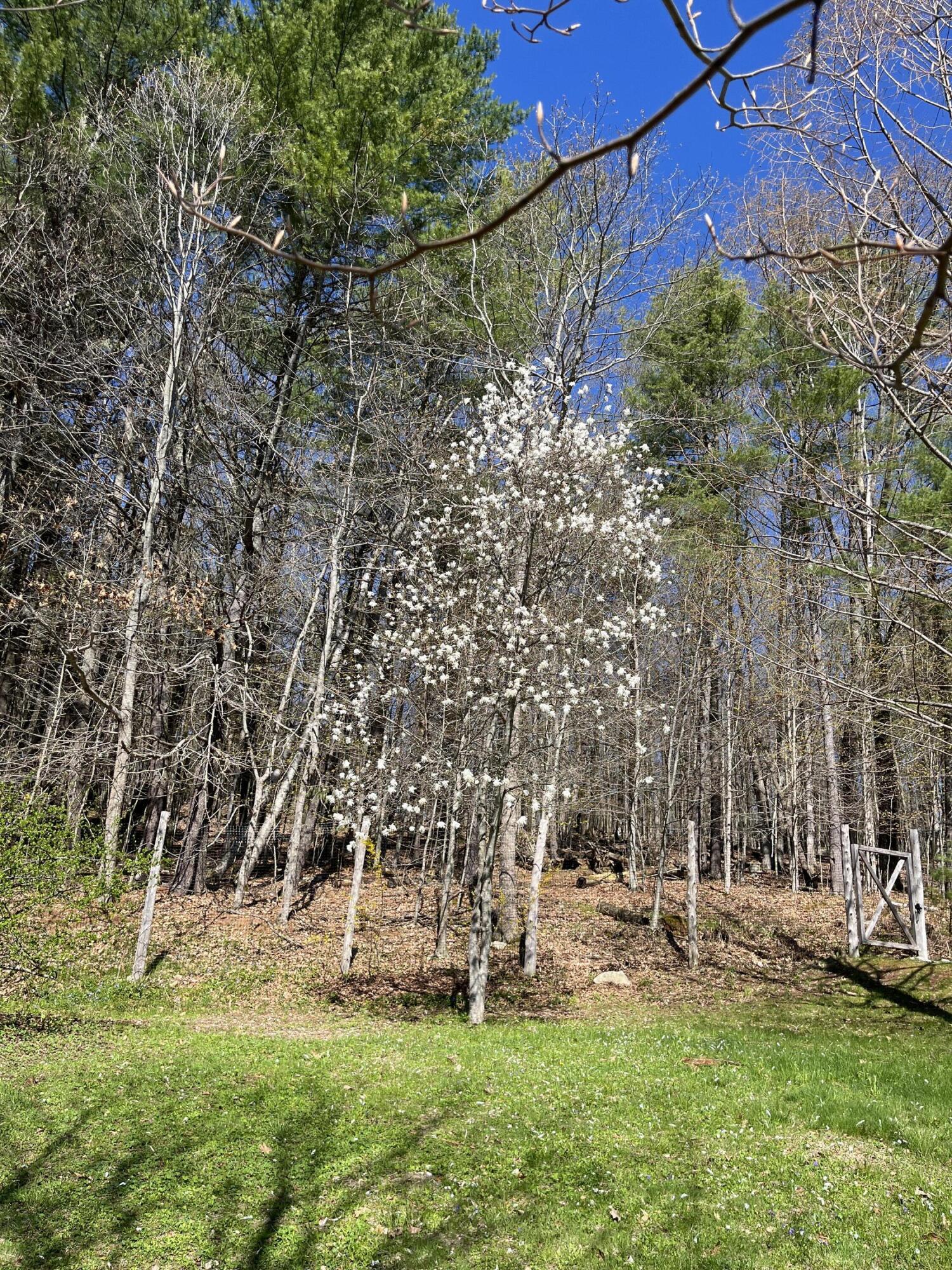 main property photo 108