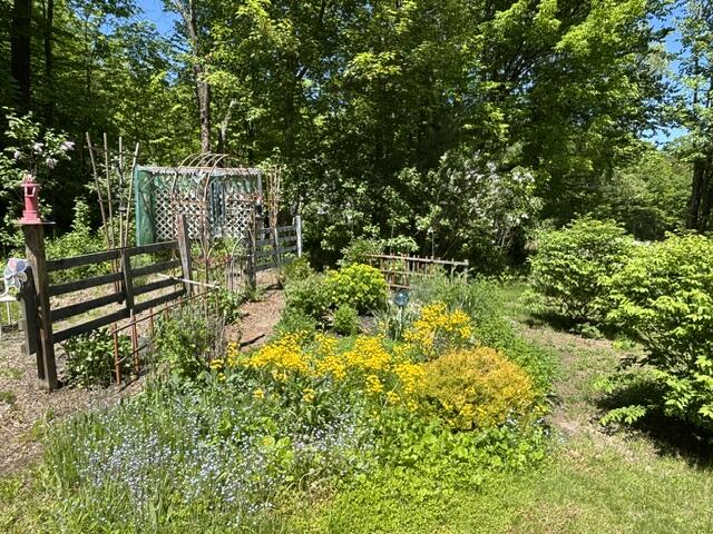 main property photo 53