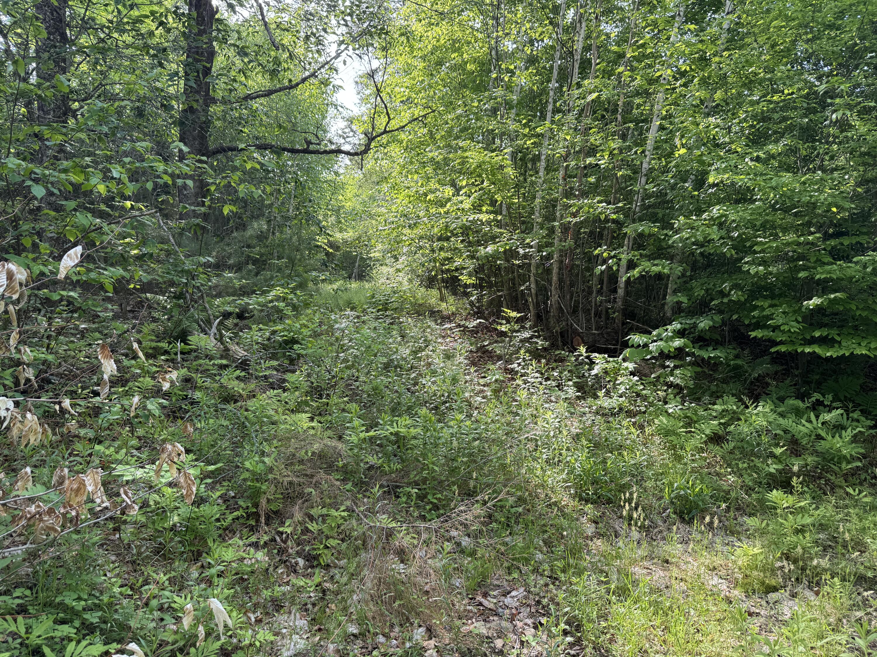 main property photo 8