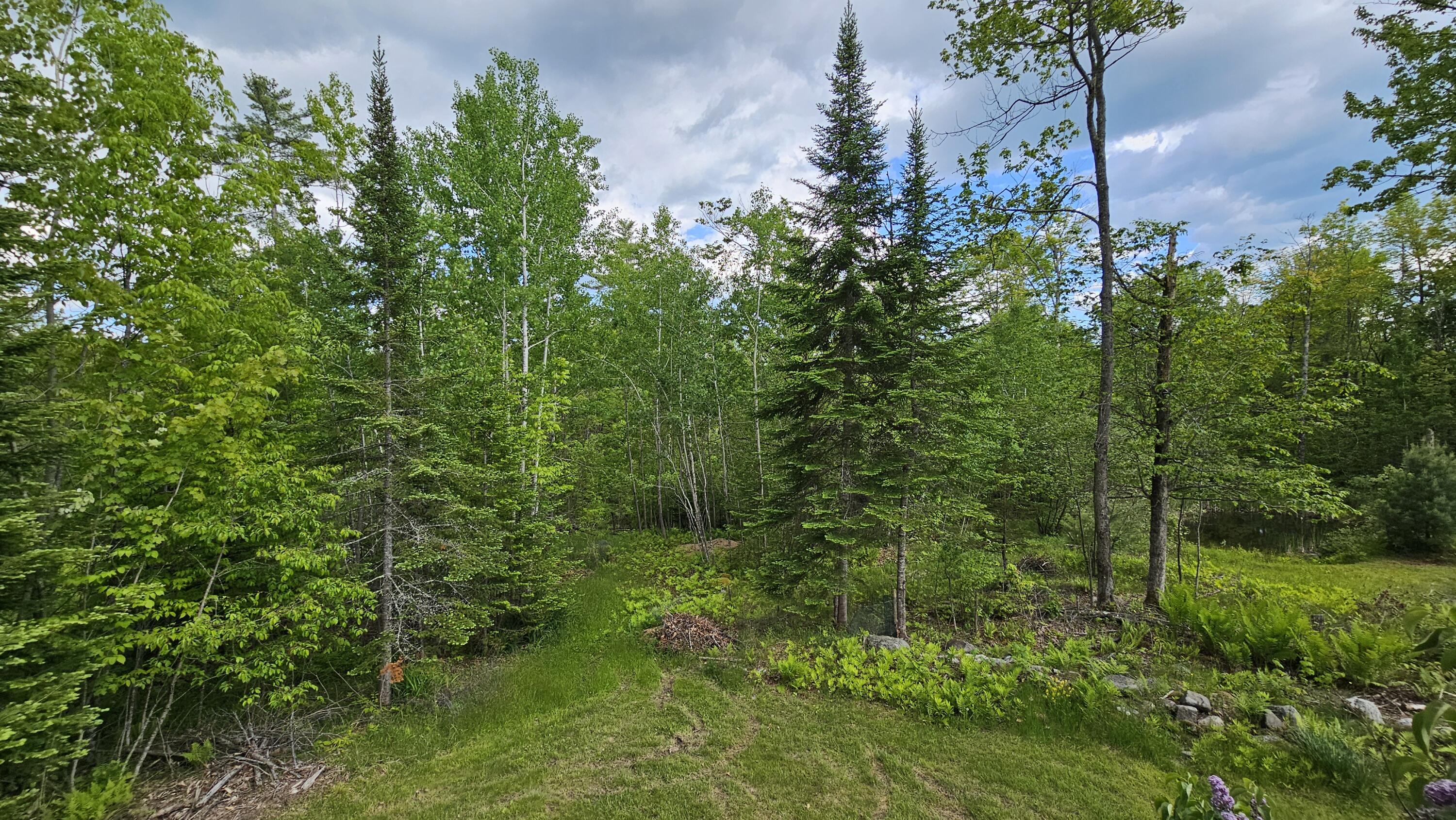 main property photo 37