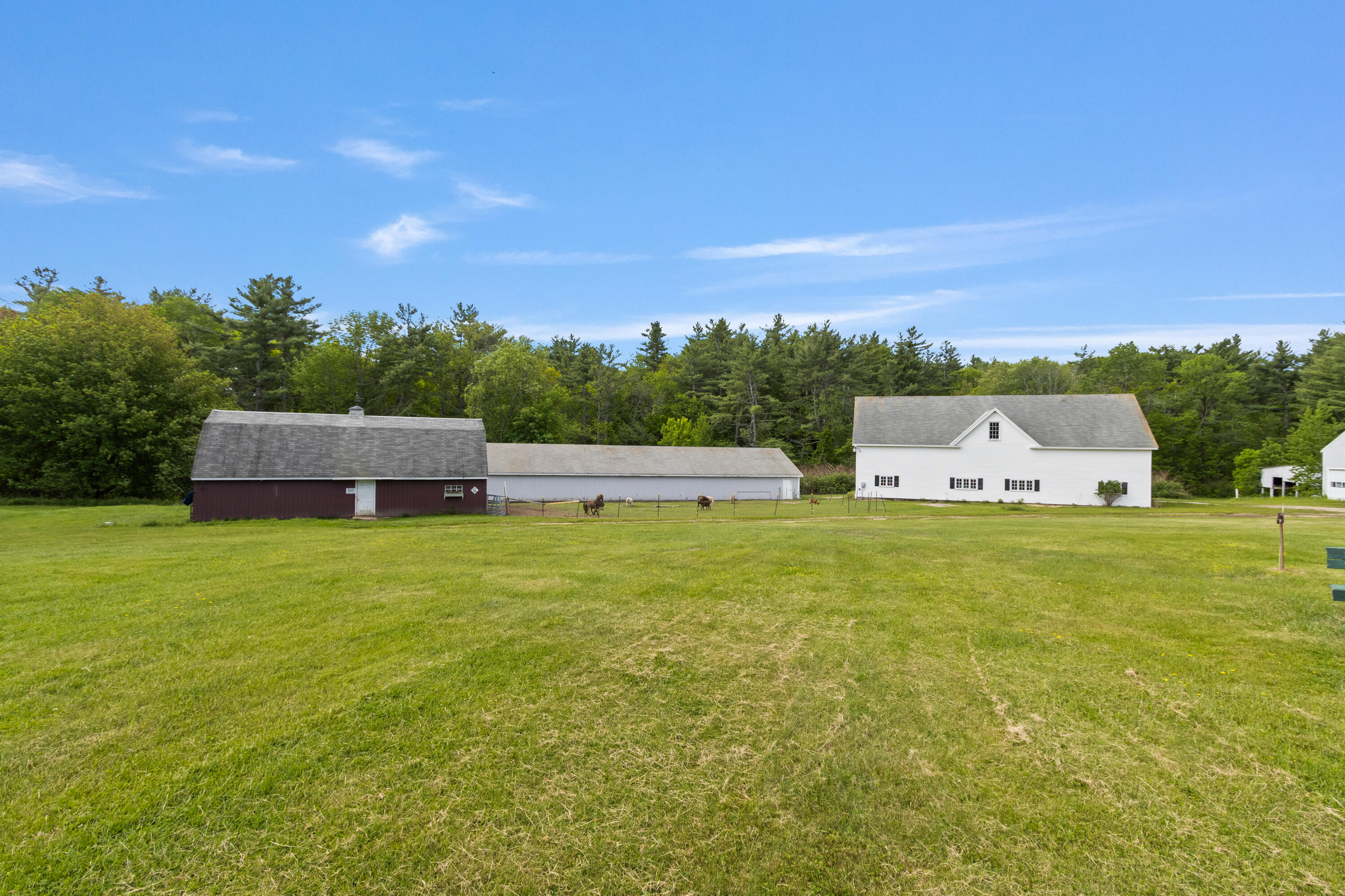 main property photo 81