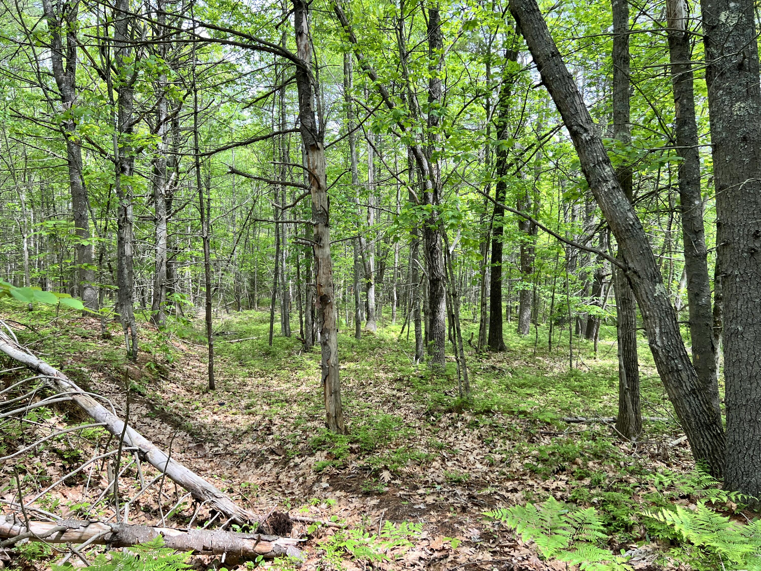 main property photo 12