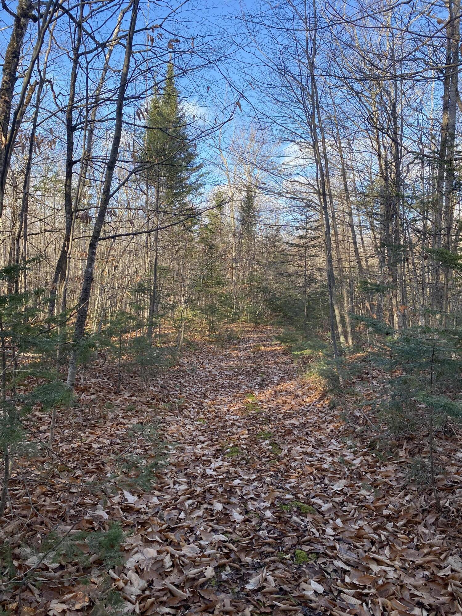 main property photo 9