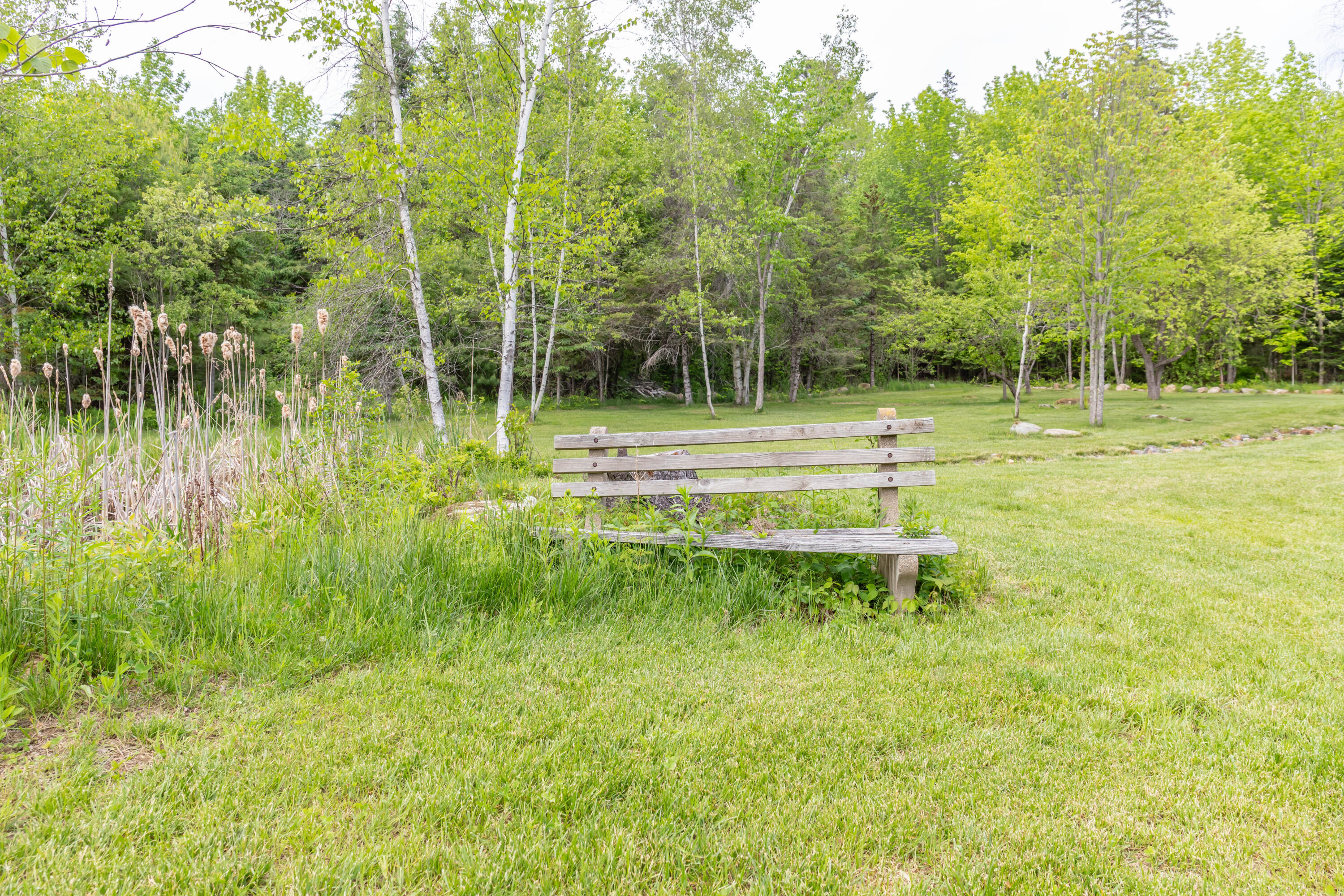 main property photo 55