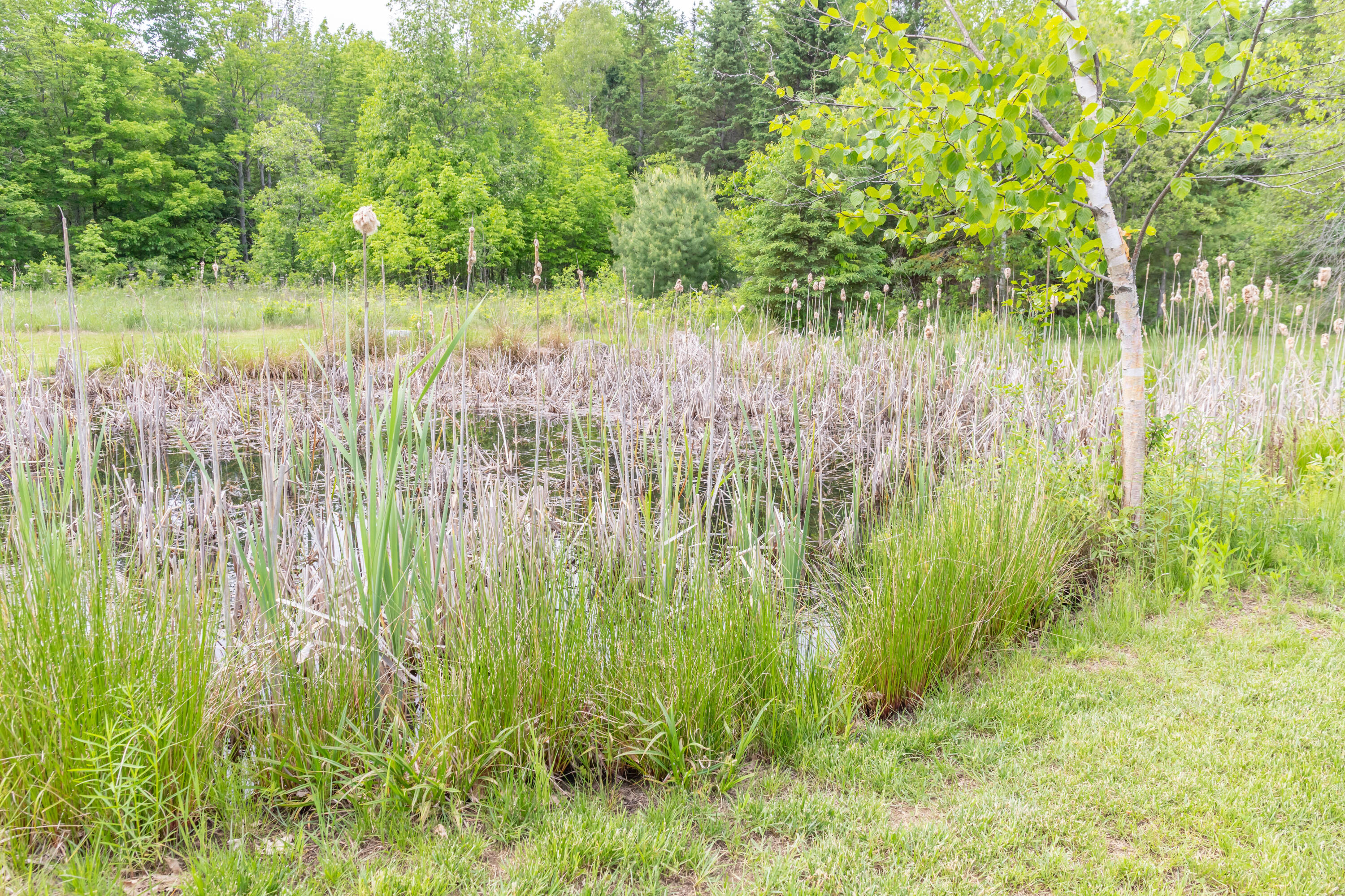 main property photo 62