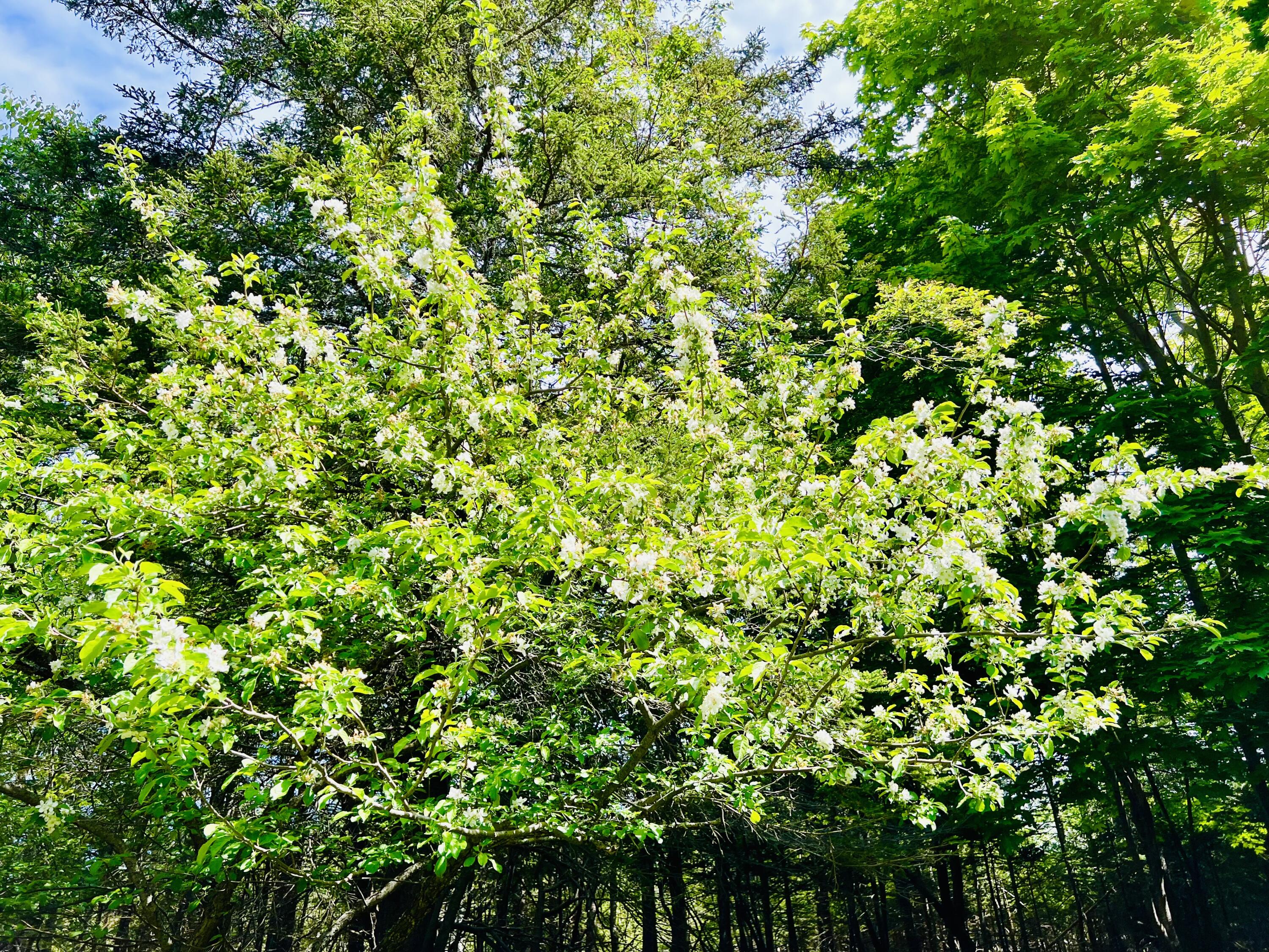 main property photo 46