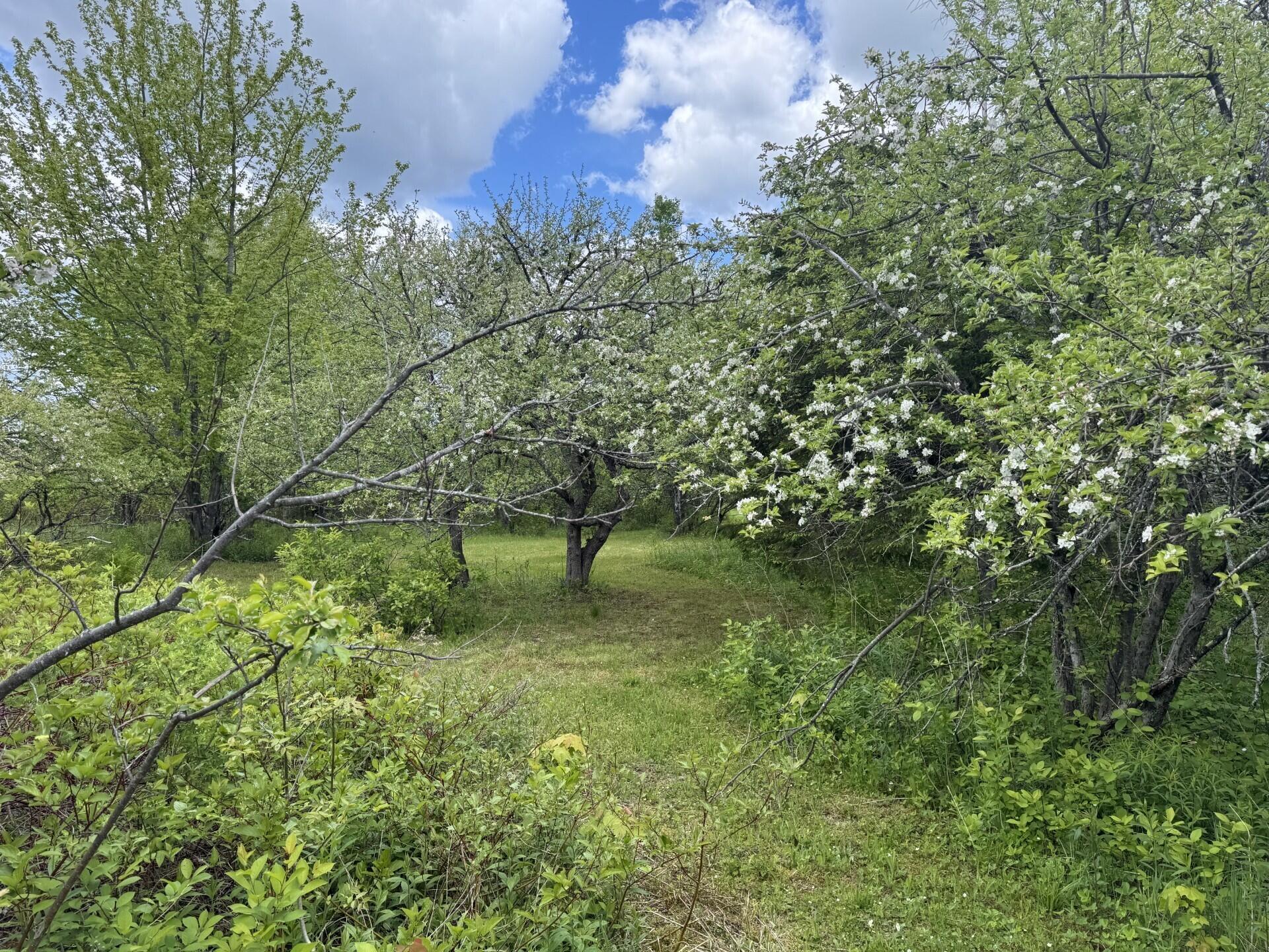 main property photo 49