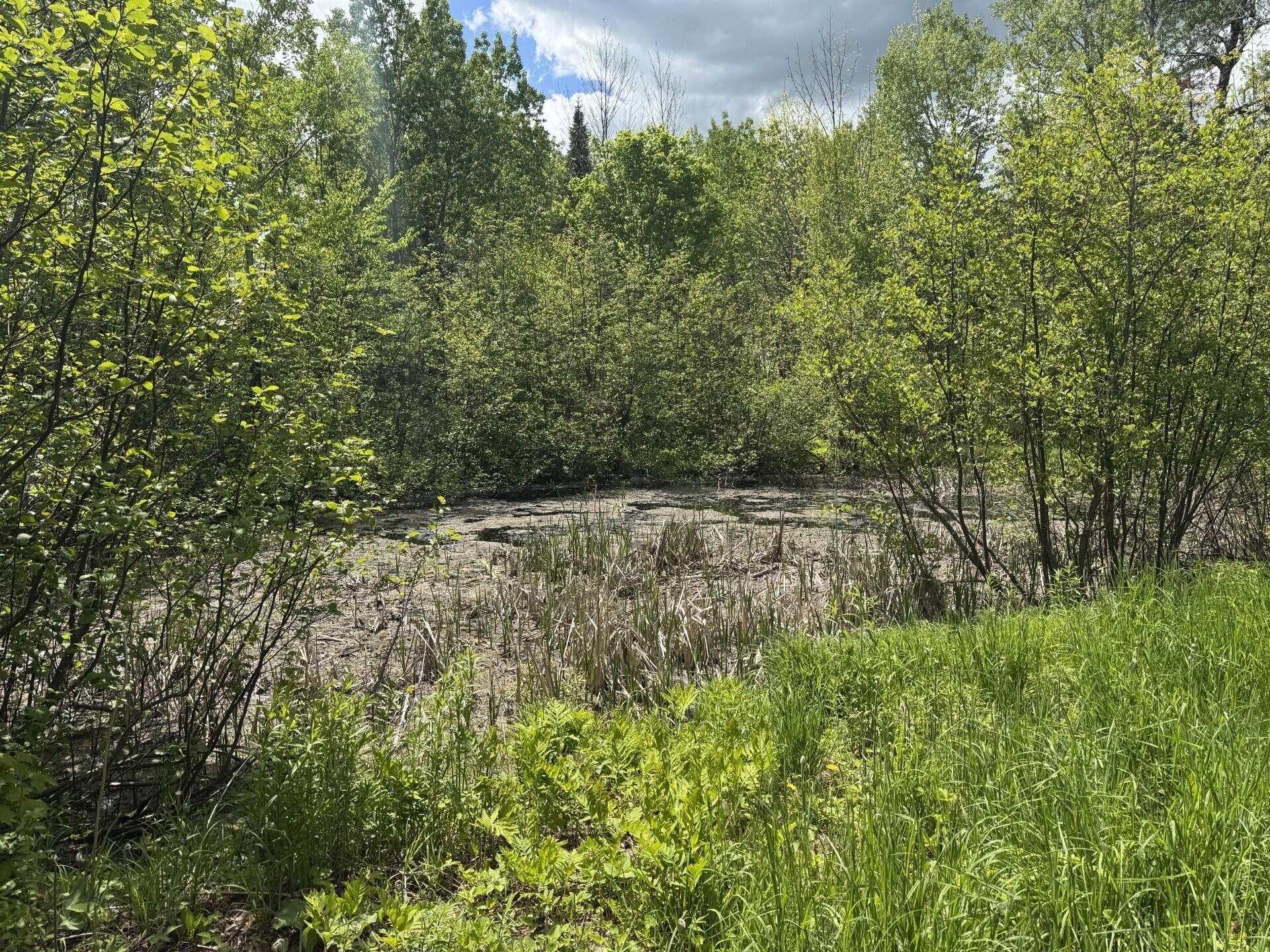 main property photo 58
