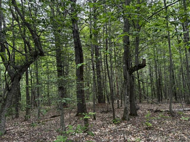 main property photo 6