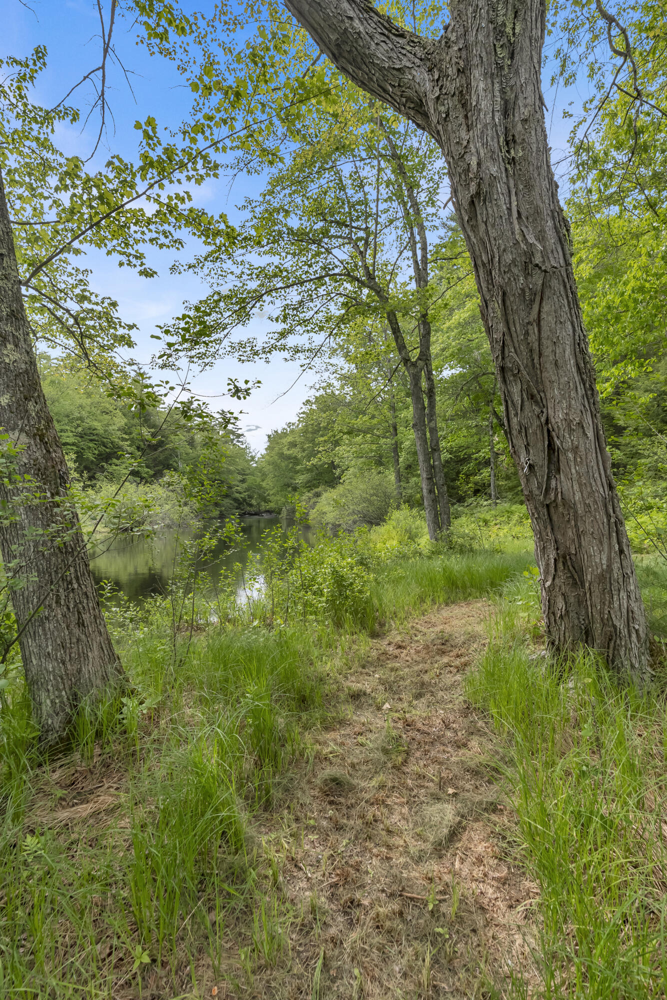 main property photo 59