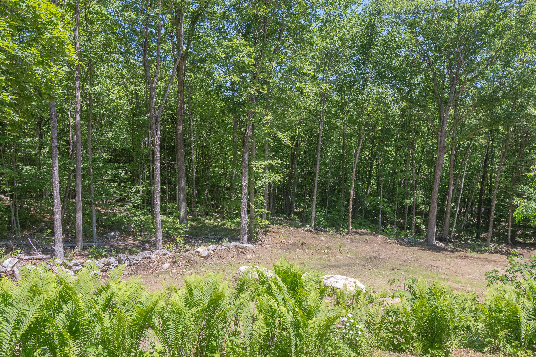 main property photo 62