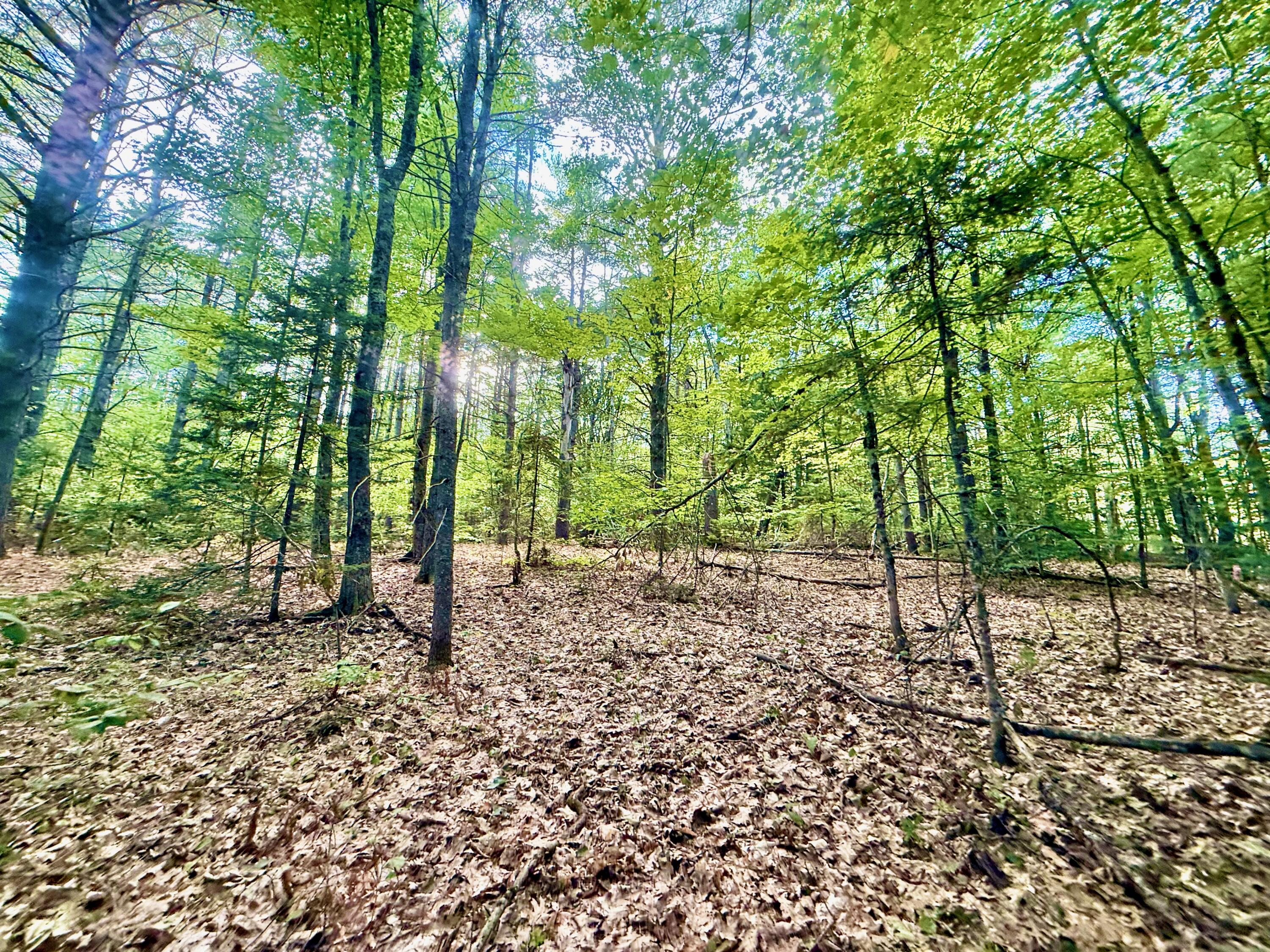 main property photo 42