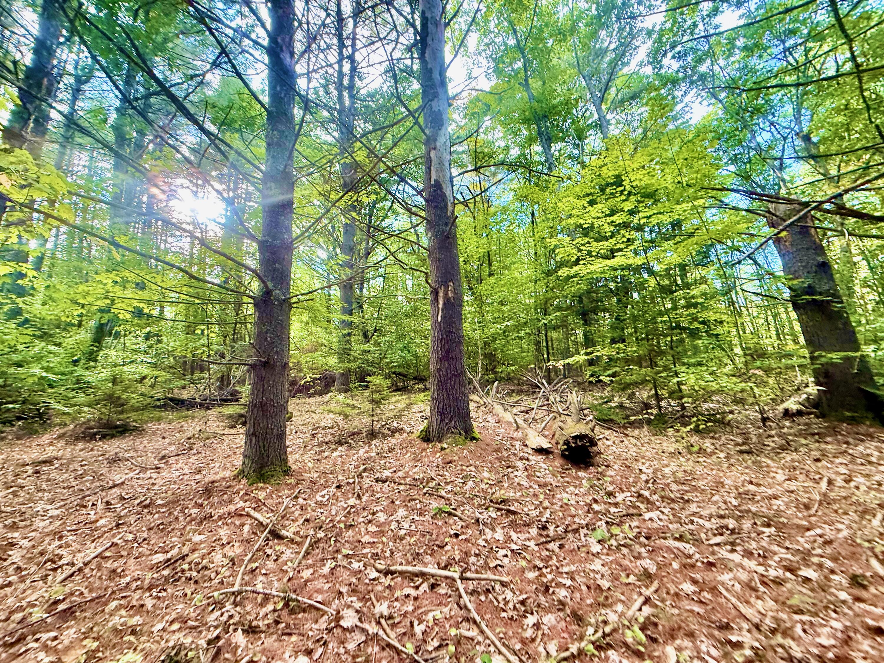 main property photo 43