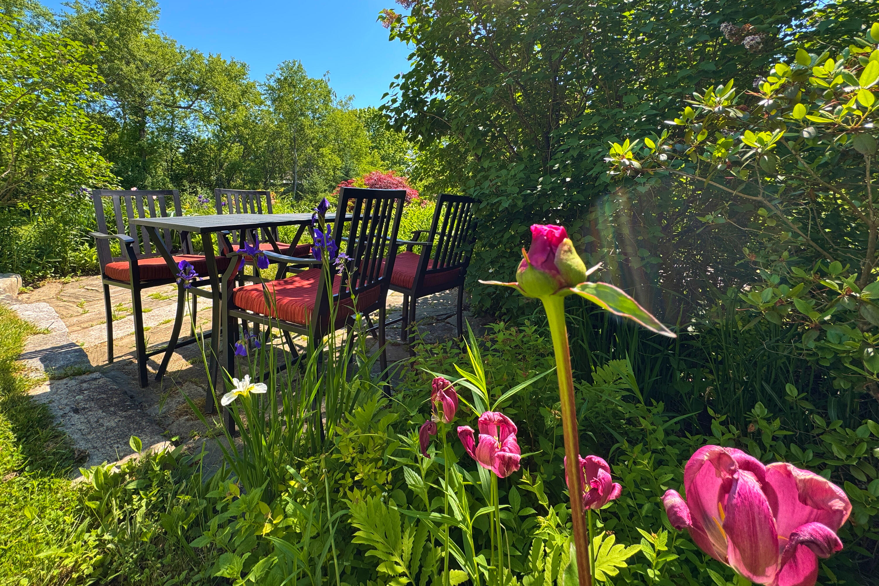main property photo 33
