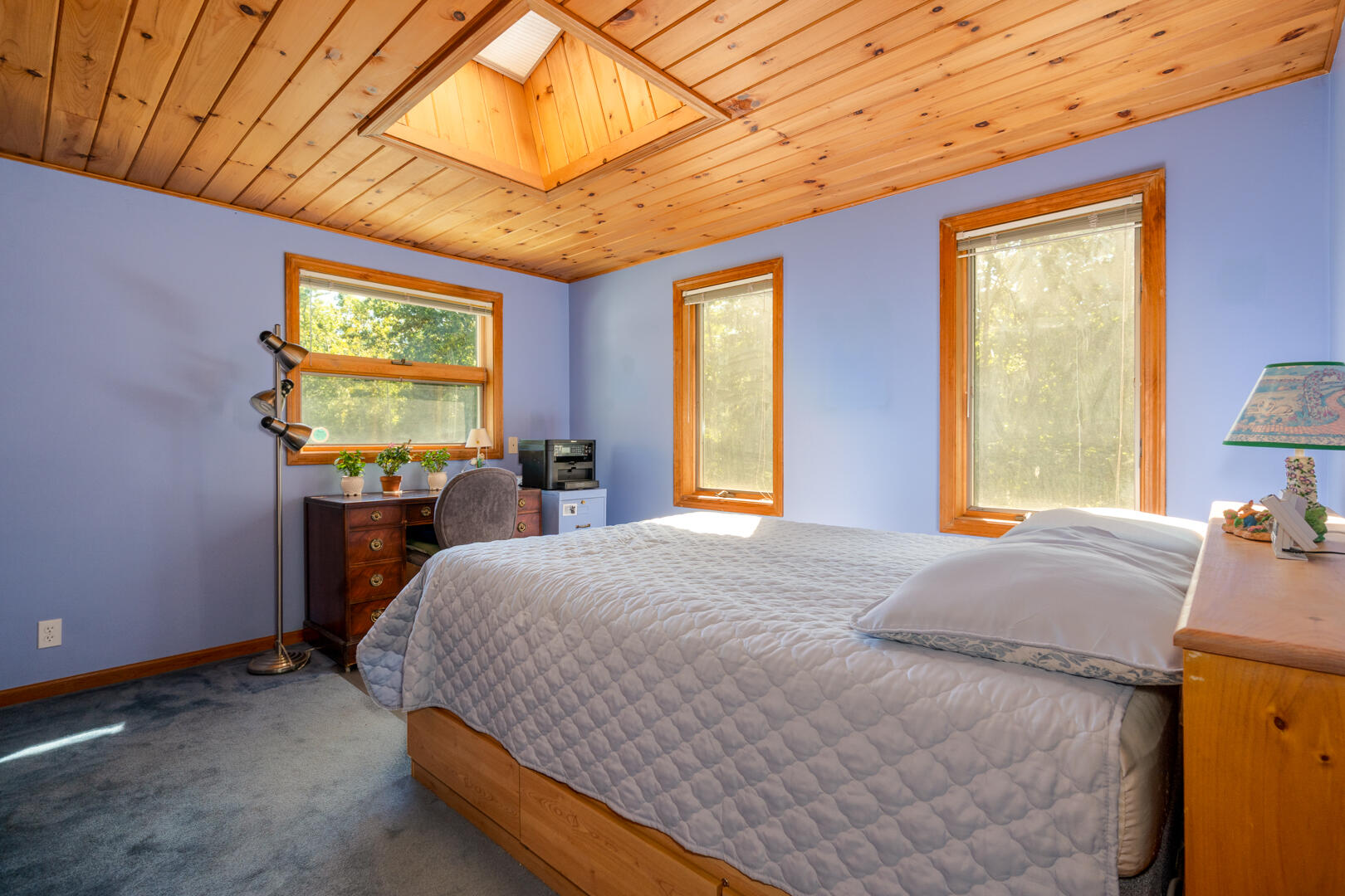 main property photo 42