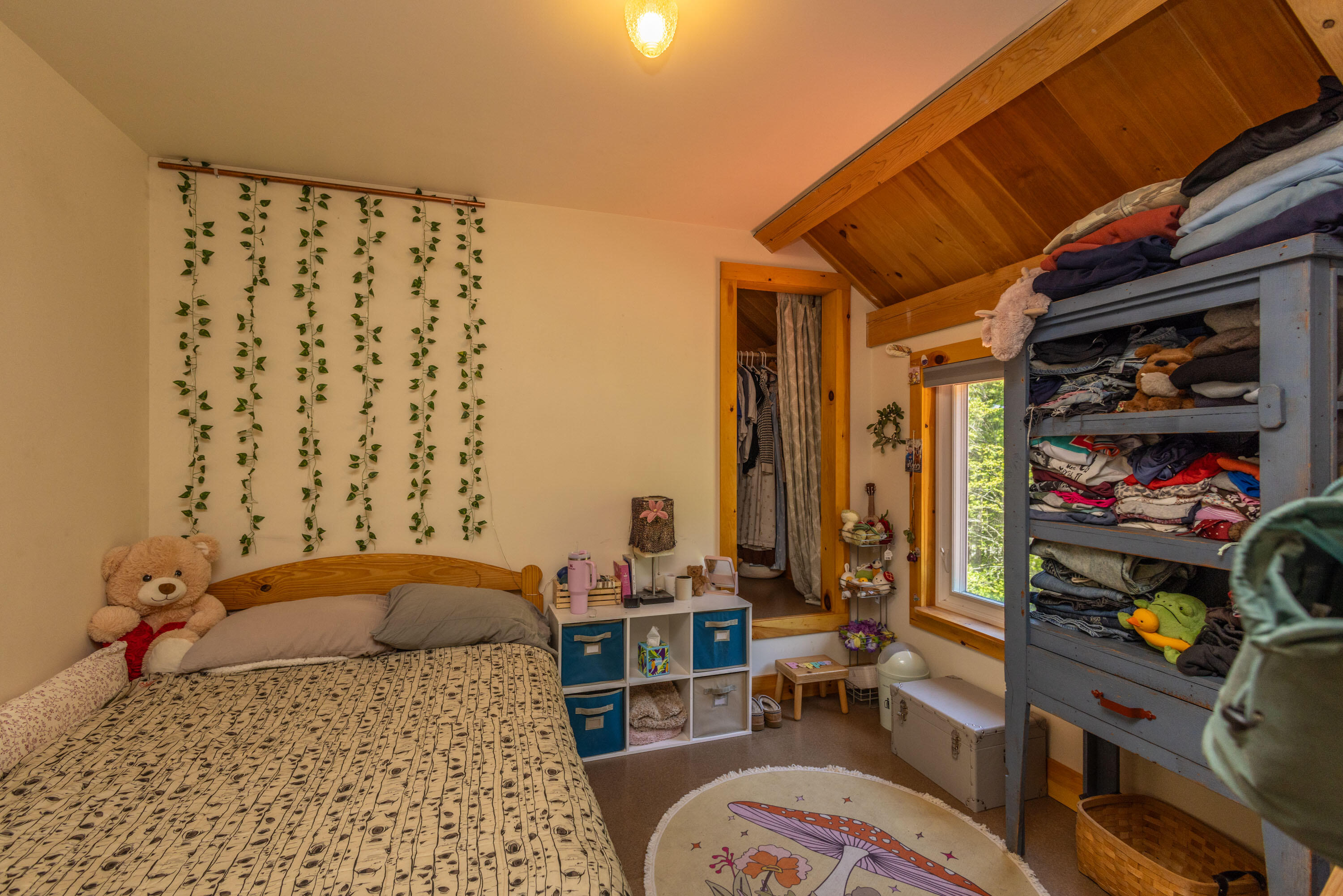 main property photo 59