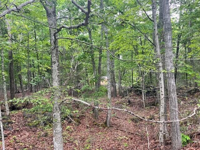 main property photo 13