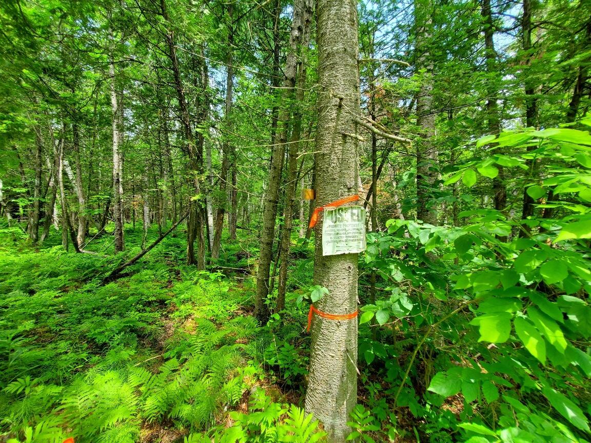 main property photo 115