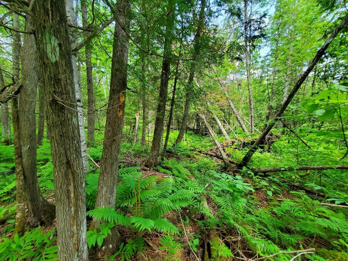 main property photo 116
